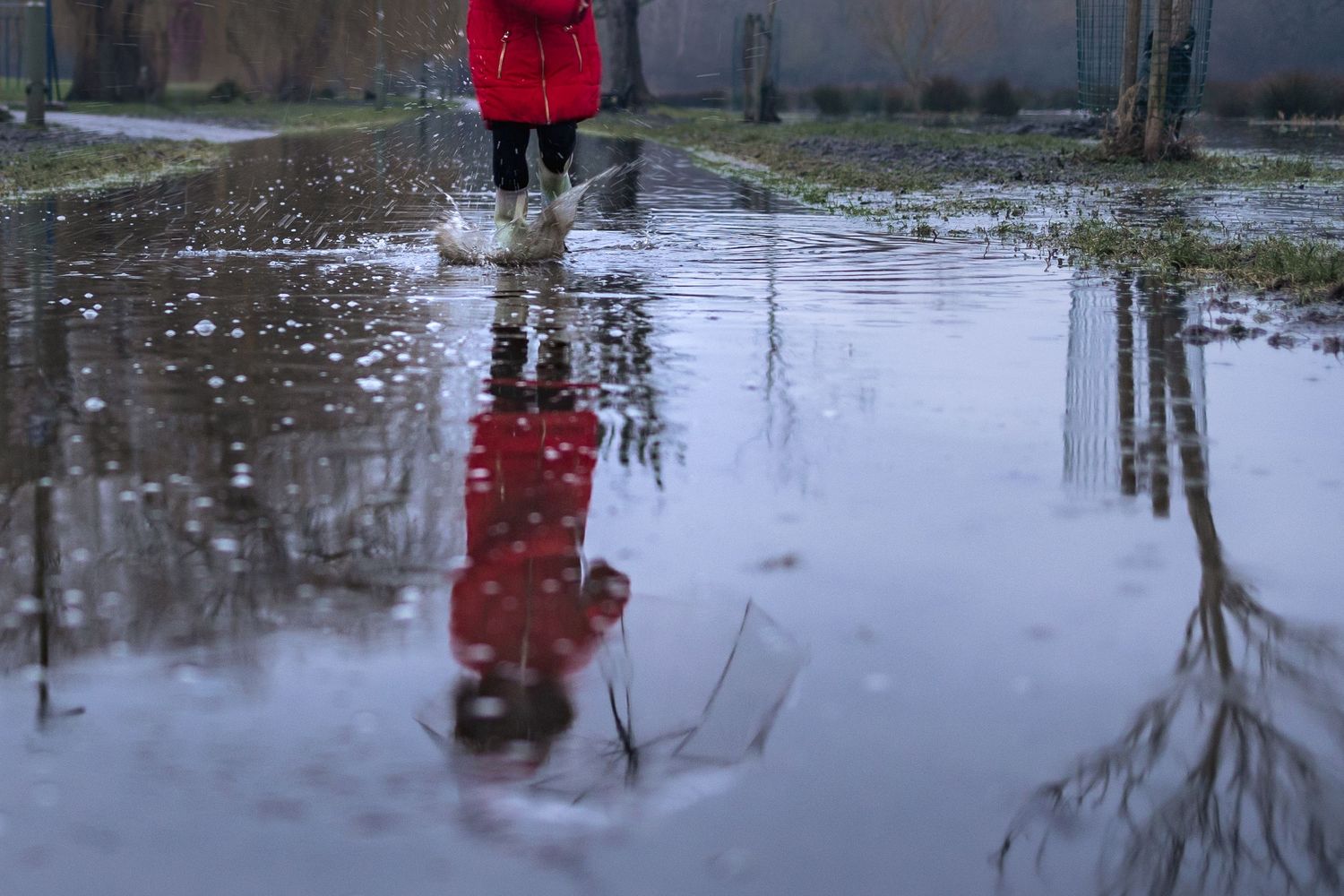 The reflection in a puddle of a young girl in a bright red coat holding an umbrella, splashing as she walks through it.