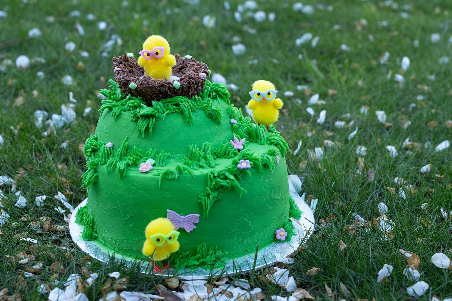 Easter cake on the grass. The cake is green (representing the grass) and features yellow chicks and chocolate nests.