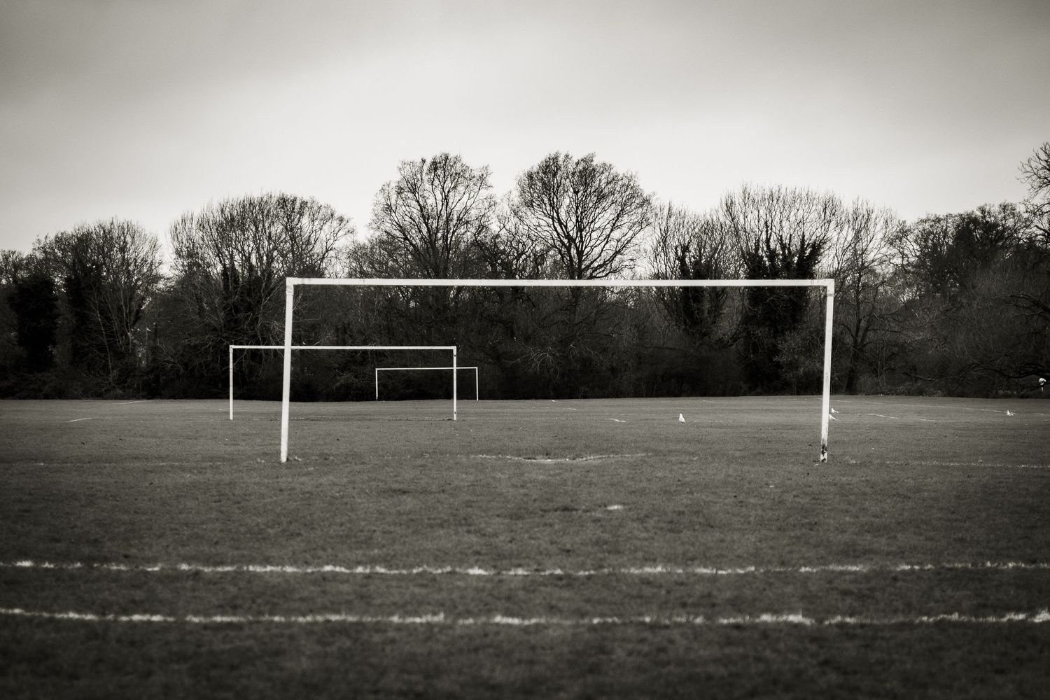 Geometric image of rectangular football goals against a backdrop of dark trees.