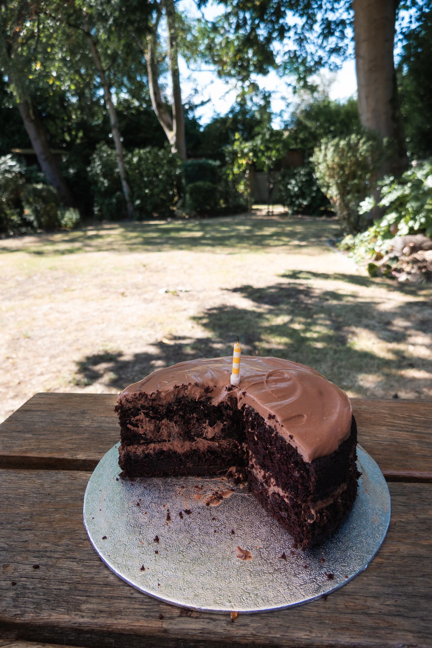 The Most delicious moist chocolate cake, with a big slice already cut, in the garden.