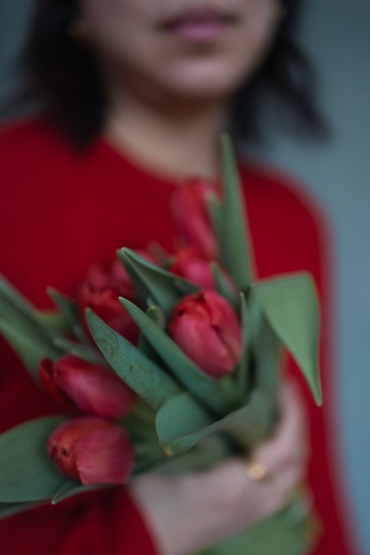Photo of lady wearing a red jumper, and holding red tulips.