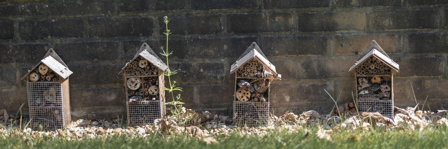 A row of bee hotels taken at a local primary school.