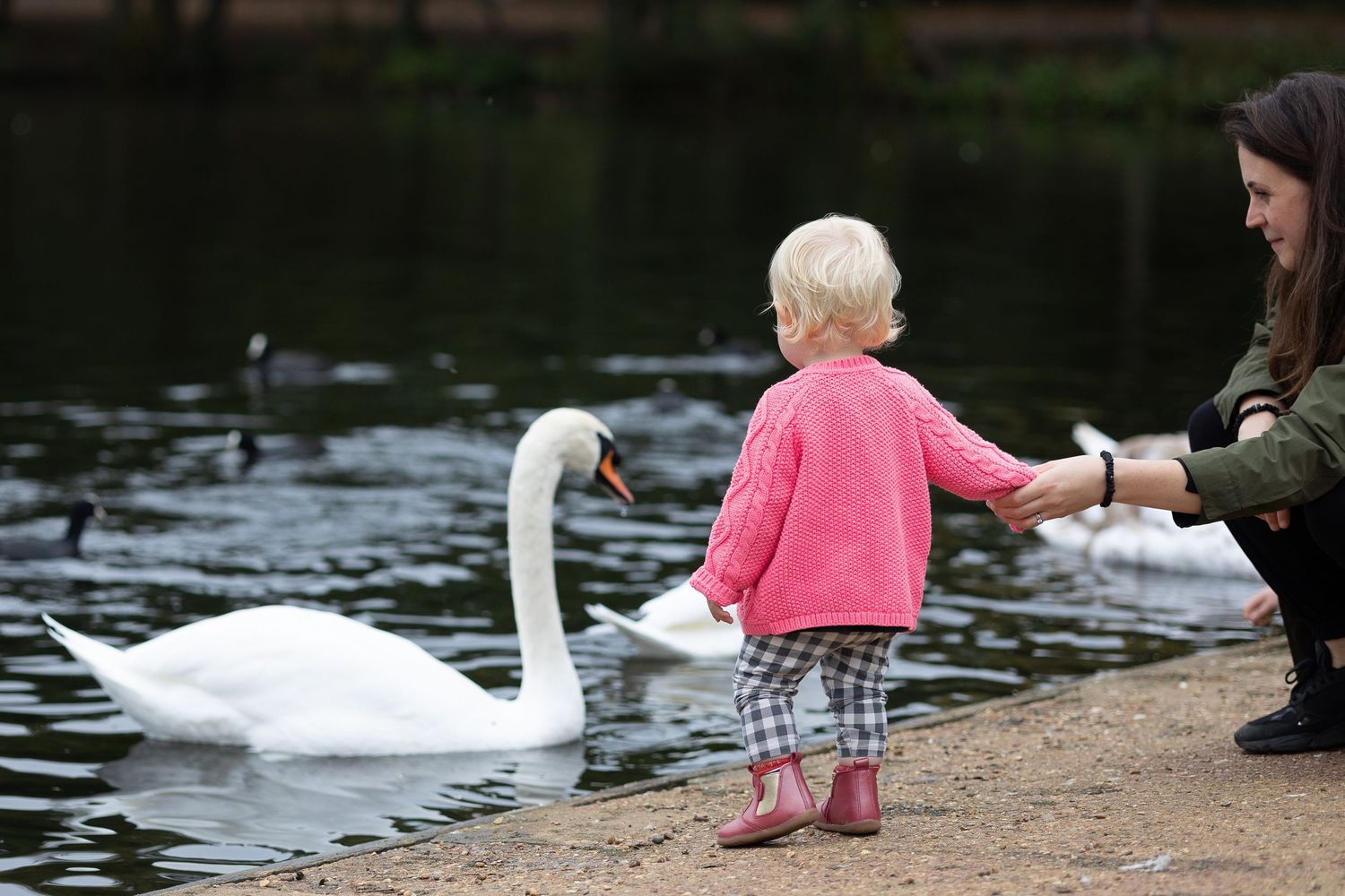 A mum gently holding her toddlers hand as they stand on the edge of the pond looking at the swans in Higham Park, London.
