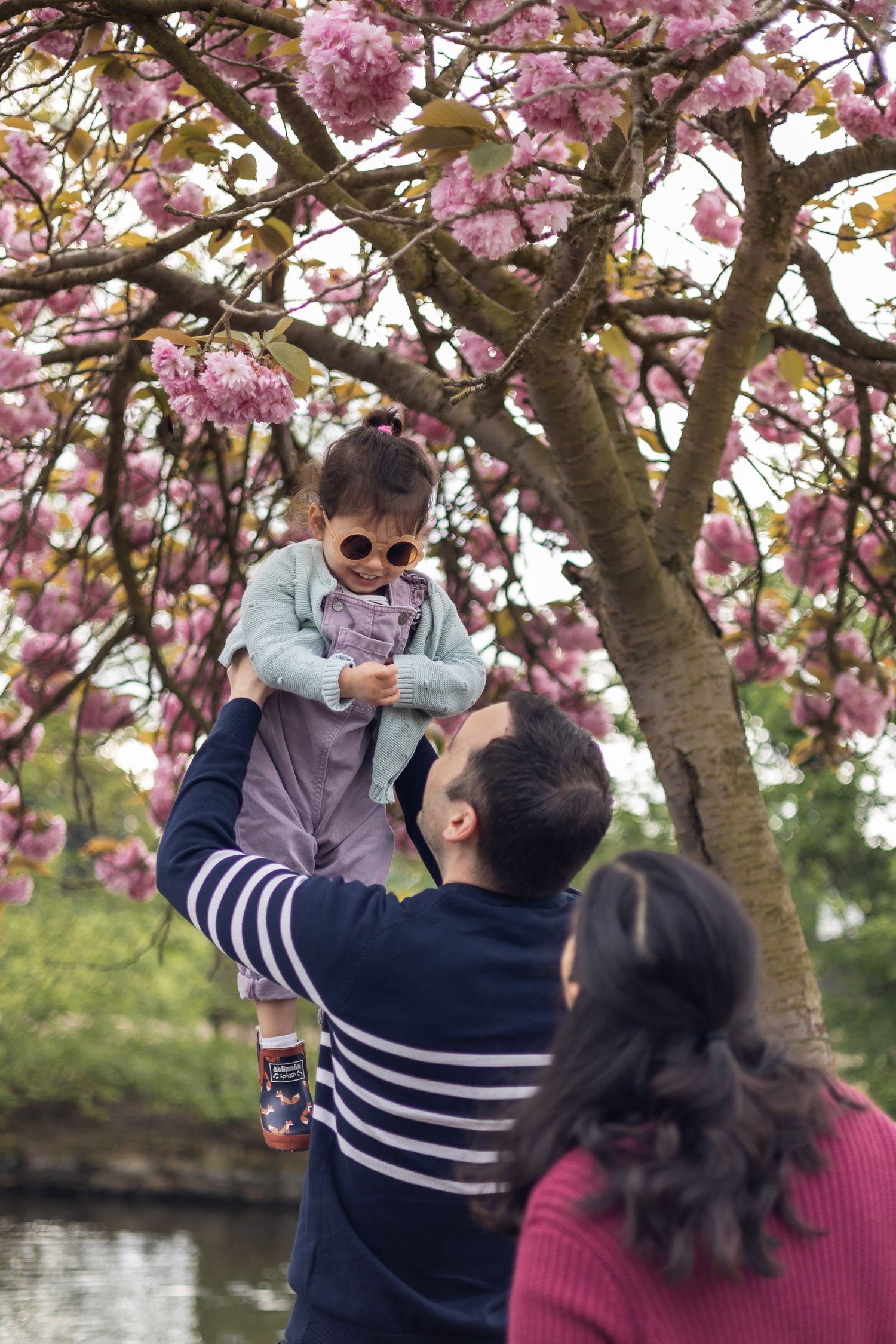 Family of three against the backdrop of cherry blossom tree in bloom in North London park at Spring time.