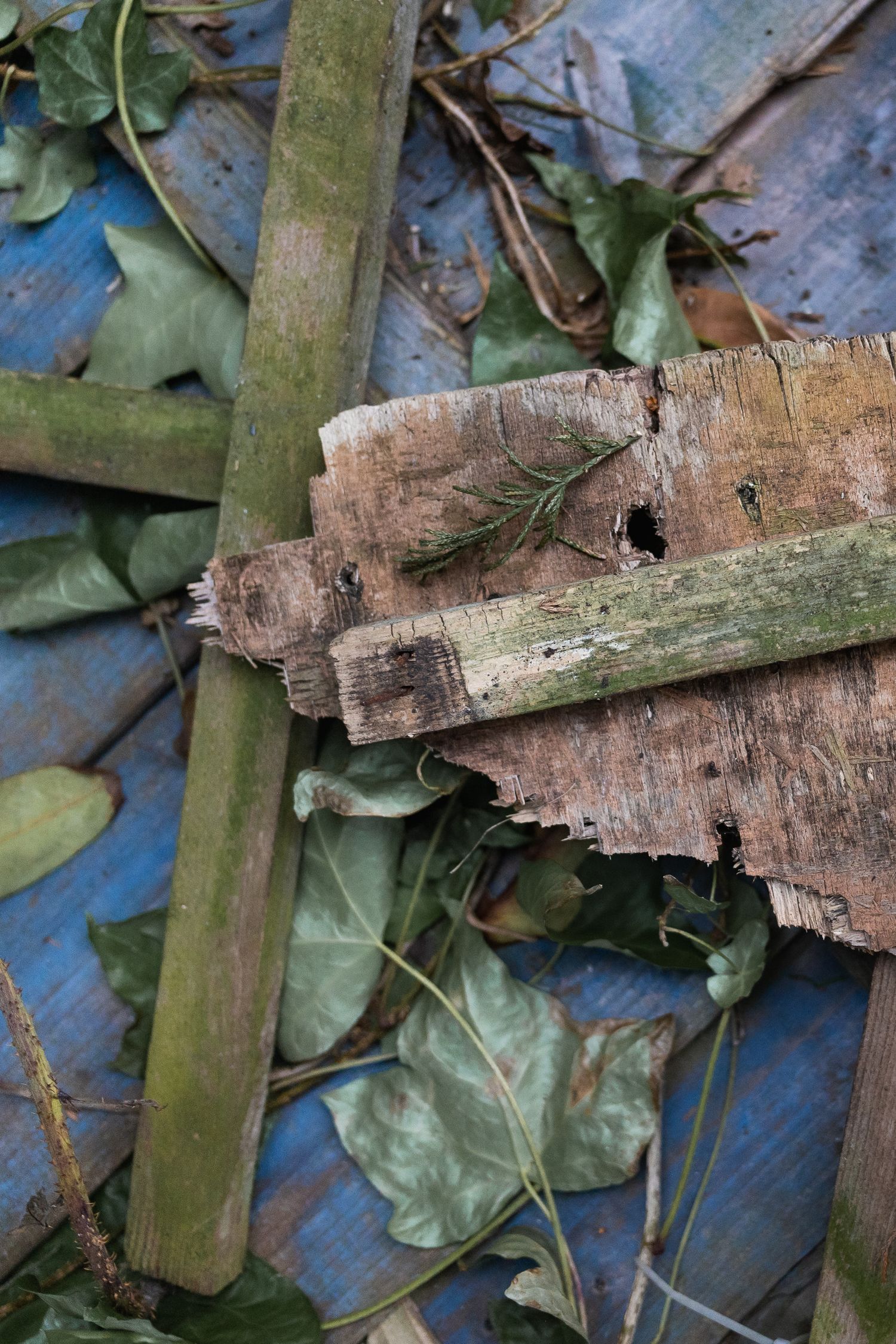 Flat lay of old fence and wood pieces in the garden.