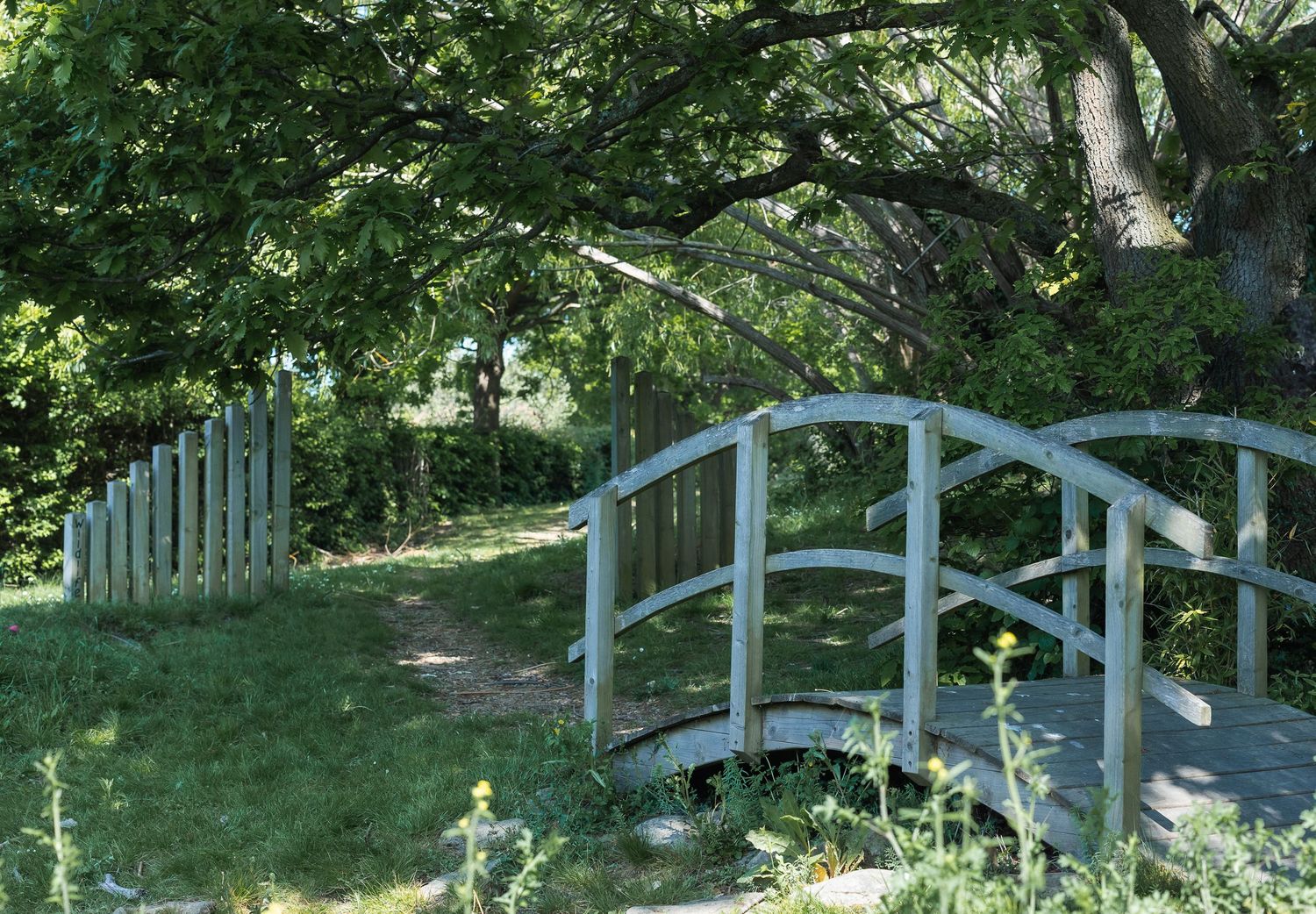 Bridge and grassy area in a local Barnet School