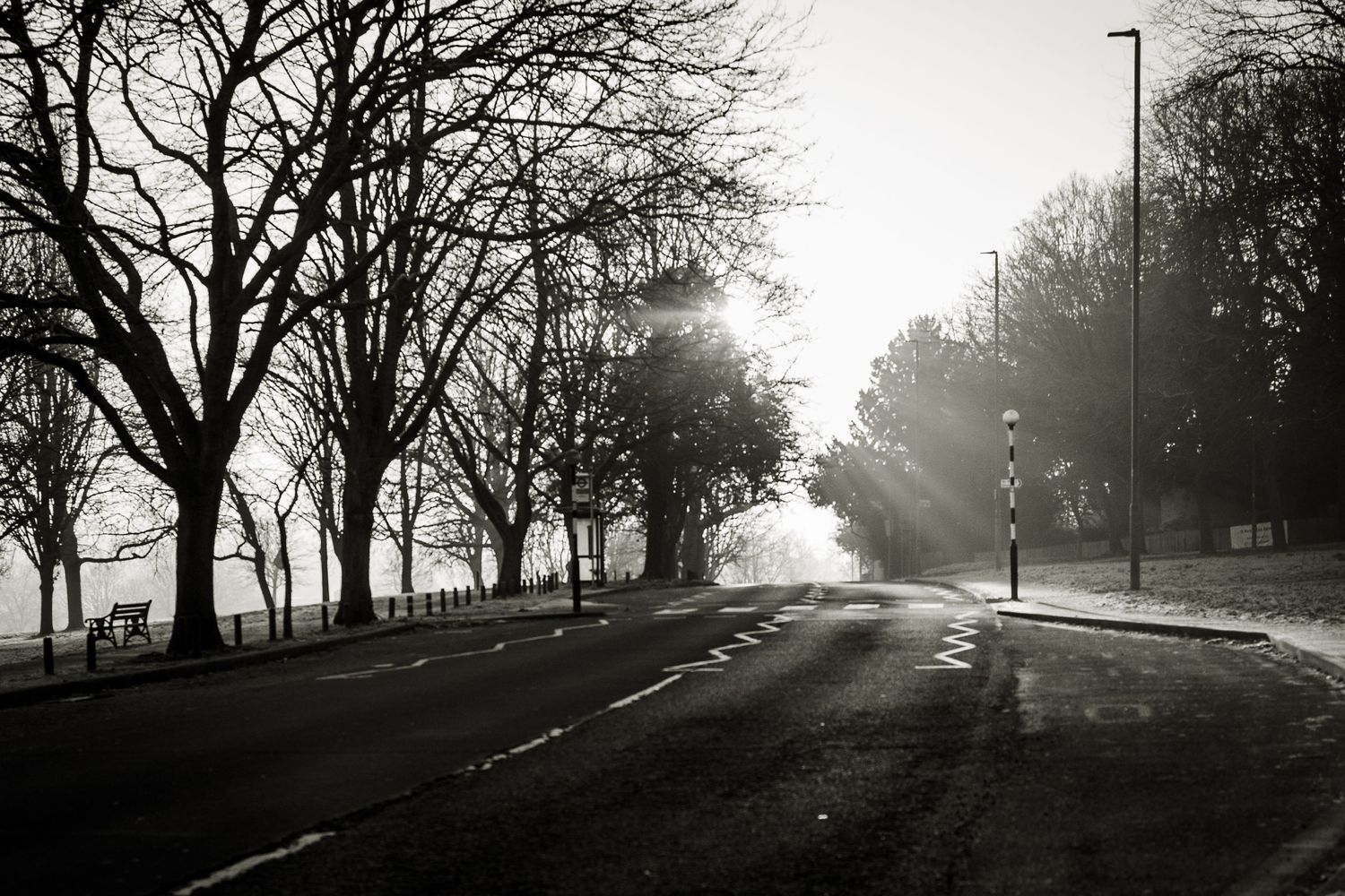 Emotive and atmospheric black and white image of a zebra crossing, mature trees, and light rays shining down.
