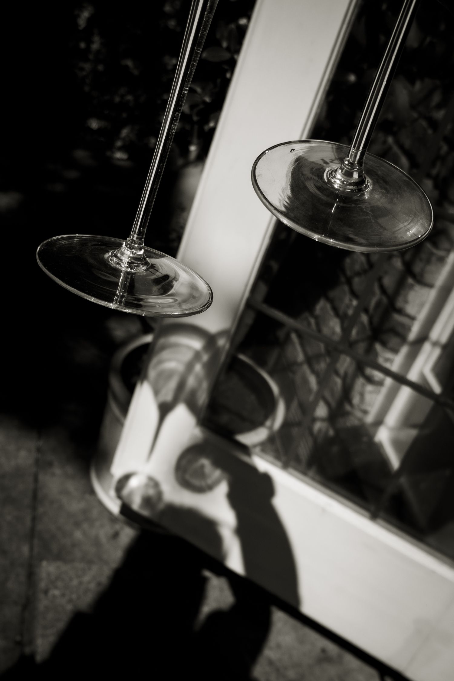 Black and white image of cocktail glasses and their shadow against the garden doors.