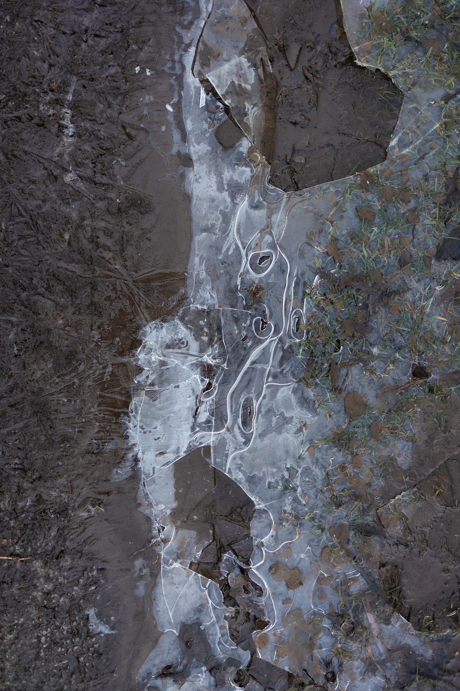 Simple shapes and abstract forms found in the thin layer of ice on the ground.