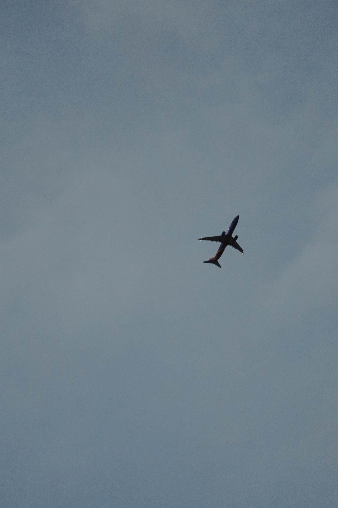 airplane