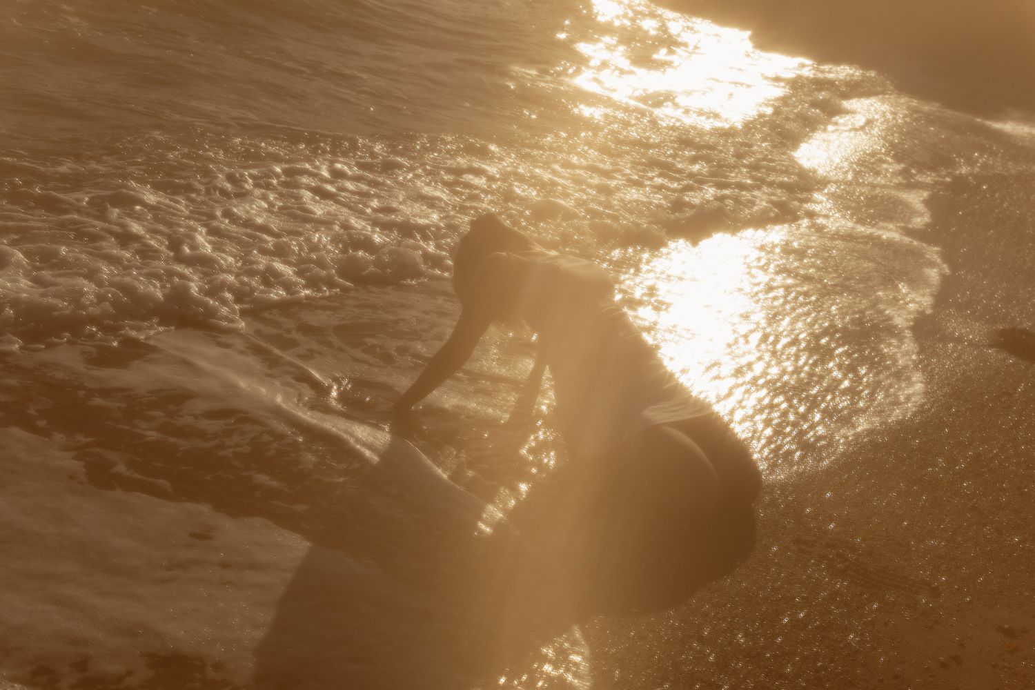 Sepia toned silhouette at sunset with water reflections.