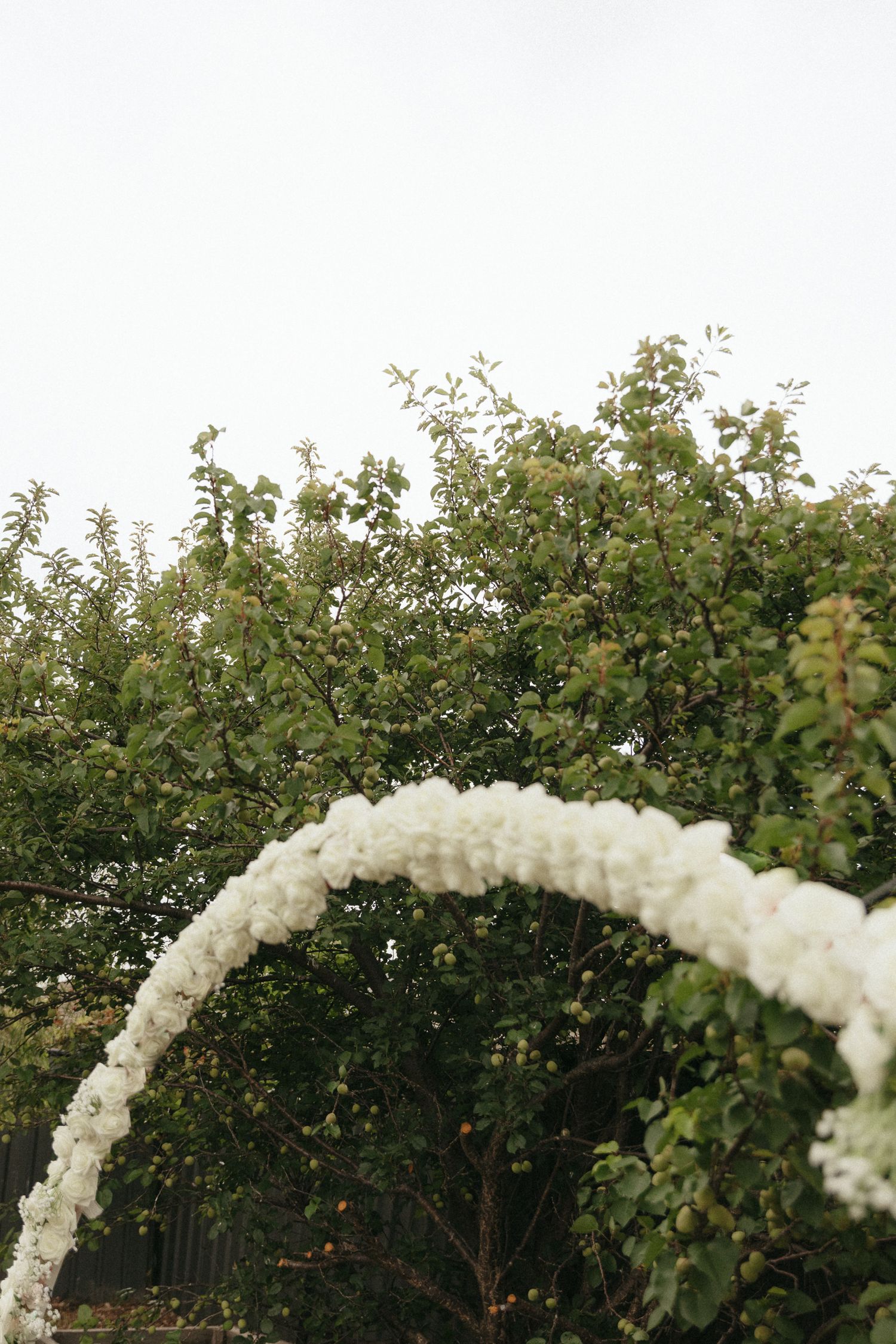 A white balloon arch decoration curves gracefully against a backdrop of lush green trees and foliage.