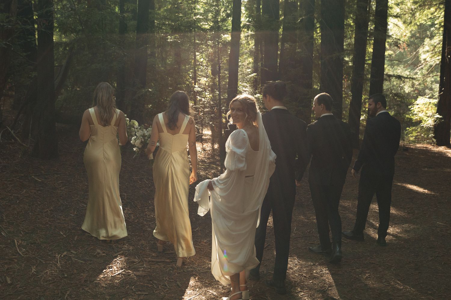 A wedding party stands together in a sunlit forest walkway with tall trees creating a natural cathedral effect.