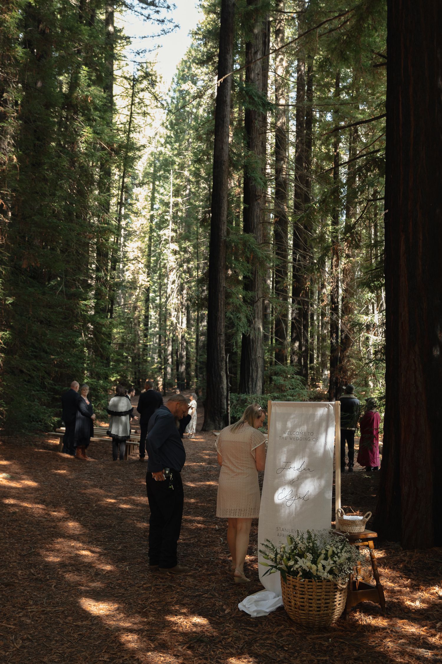 A small gathering in a sunlit redwood forest with people standing near decorative displays on a dirt path.