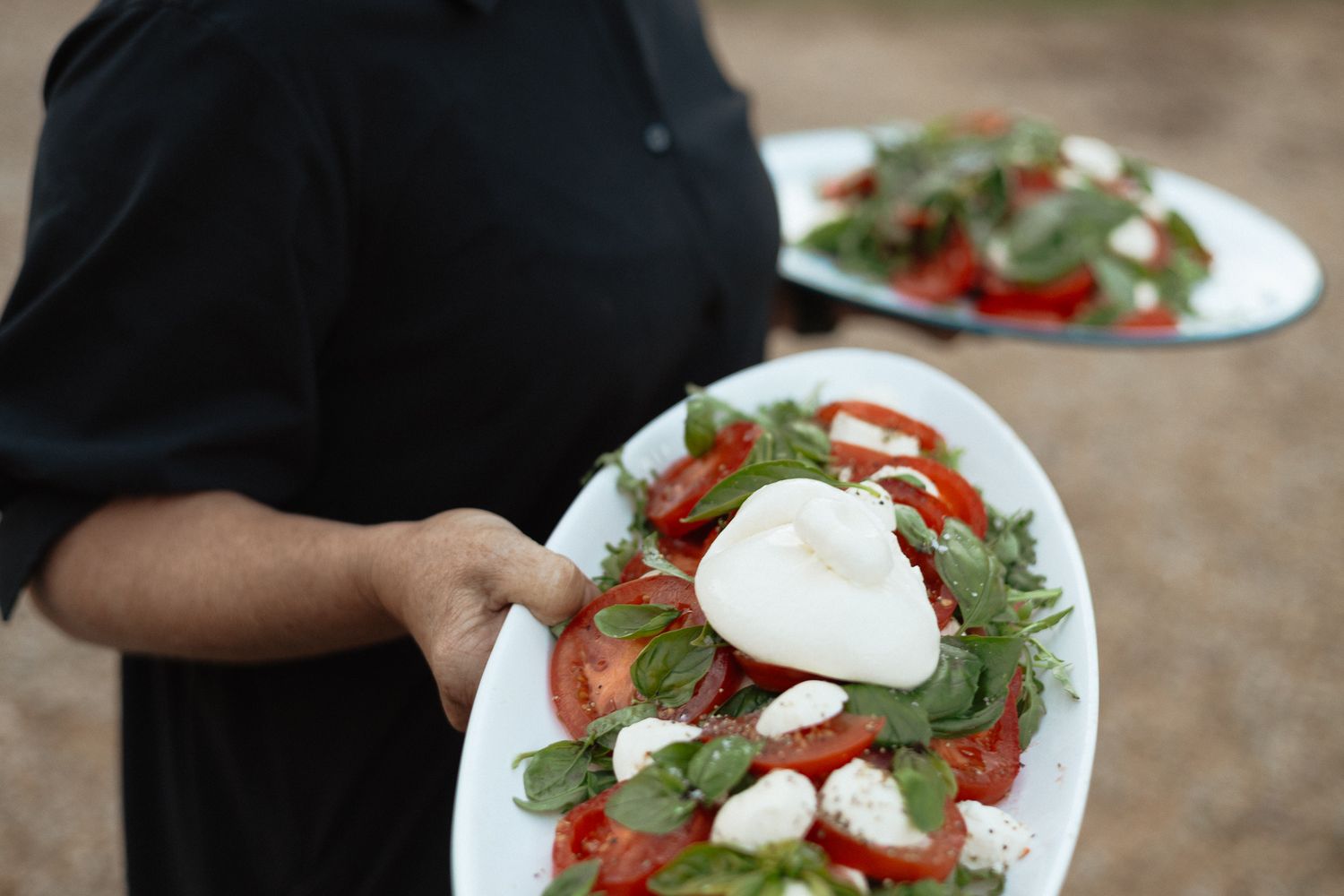 Server carrying fresh caprese salads with mozzarella, tomatoes and arugula on white plates.