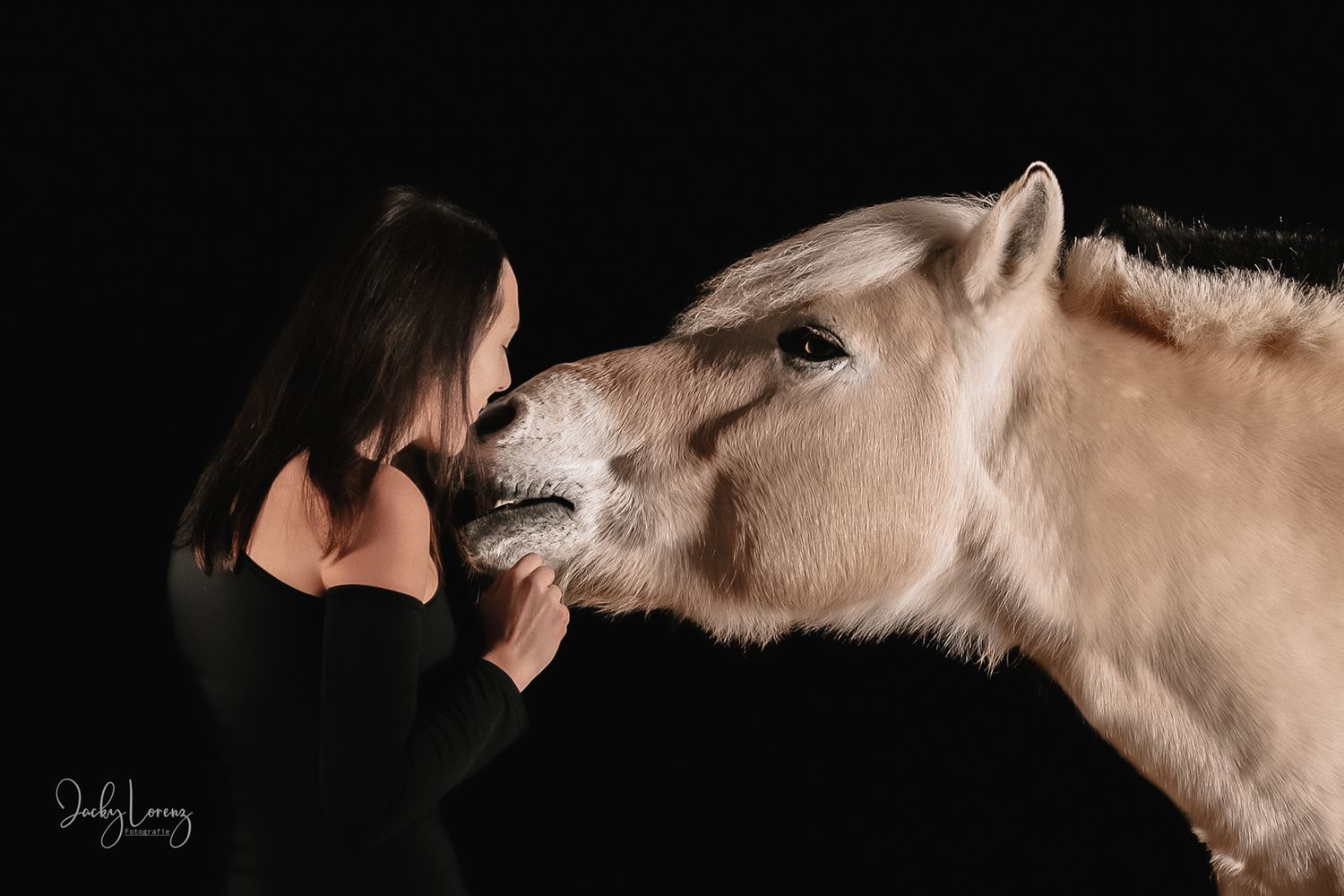Pferdefotografie in RLP
Mit bedingungsloser Liebe-
unvergessliche Momente von und mit deinem Seelenpferd