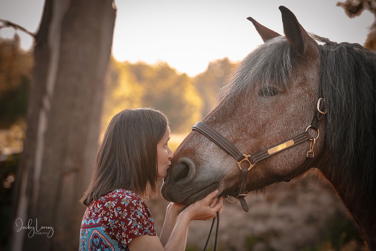 Pferdefotografie in RLP
Mit bedingungsloser Liebe-
unvergessliche Momente von und mit deinem Seelenpferd