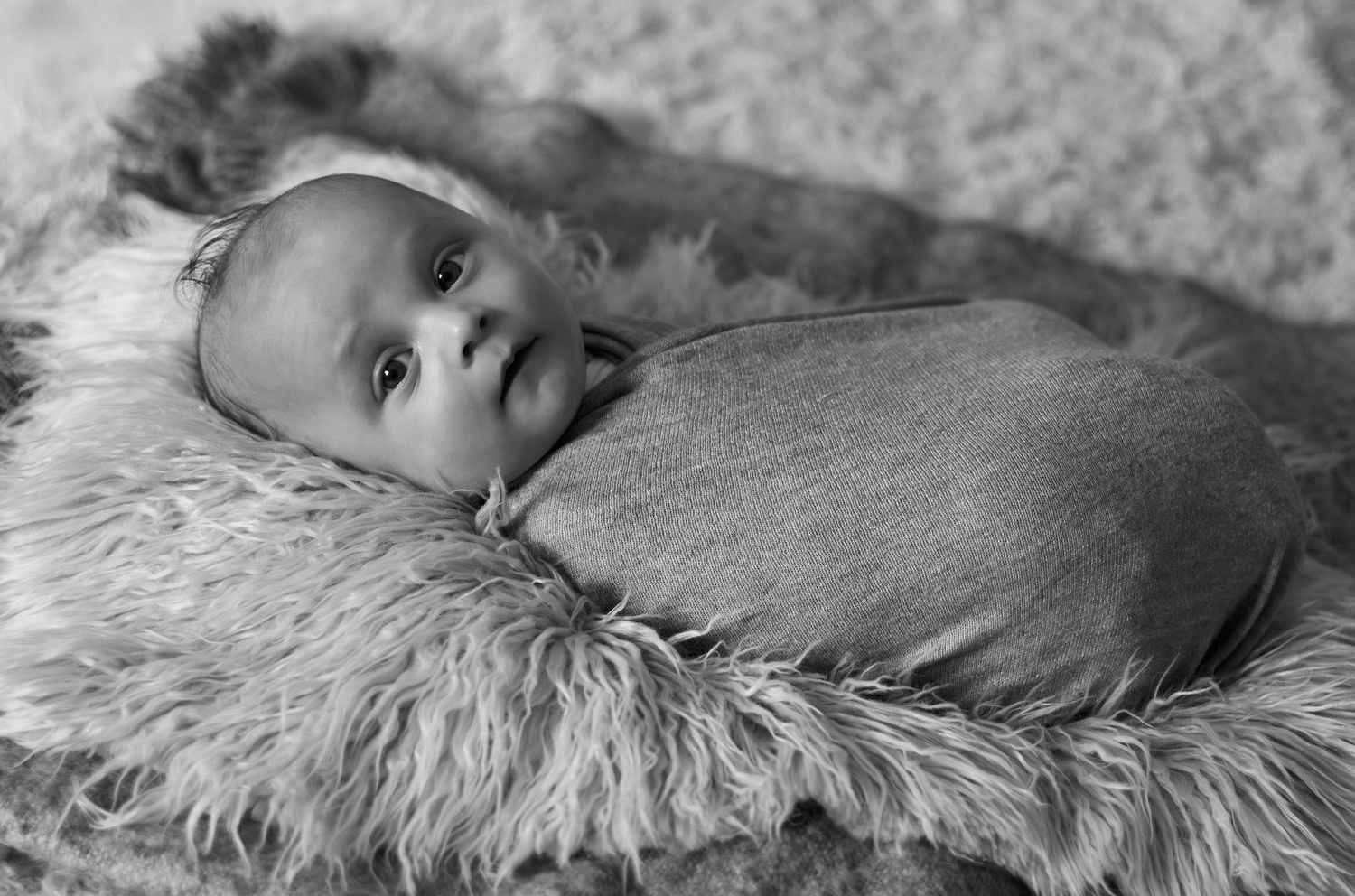 Black and white photo of a swaddled newborn baby lying on a fluffy fur blanket, gazing upward with wide eyes.