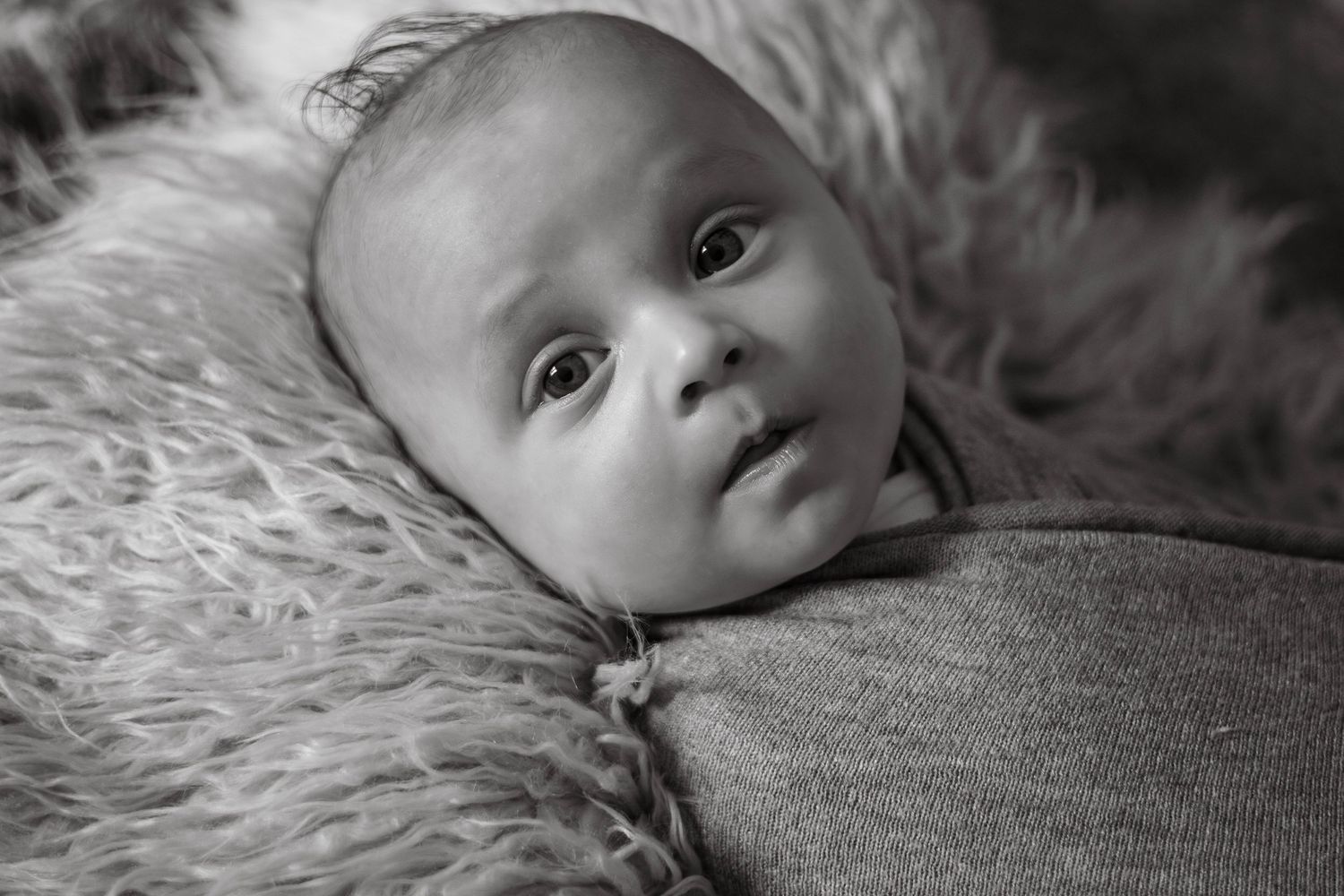 Black and white portrait of a newborn baby wrapped in soft fabric, lying on a fluffy fur blanket.