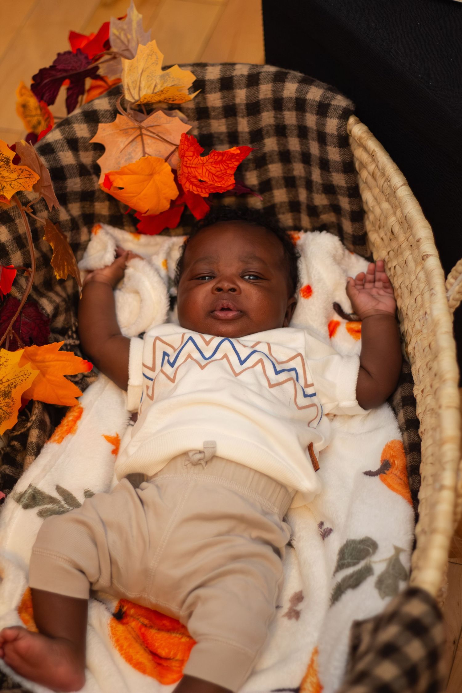 Newborn baby lying in a wicker bassinet surrounded by colorful autumn leaves and a plaid blanket.