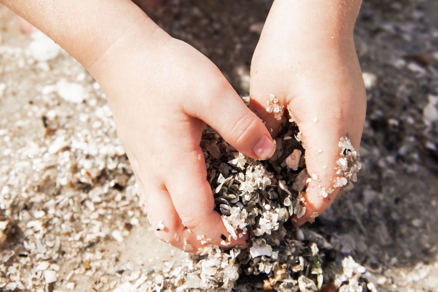 Small hands playing in dark soil or dirt.