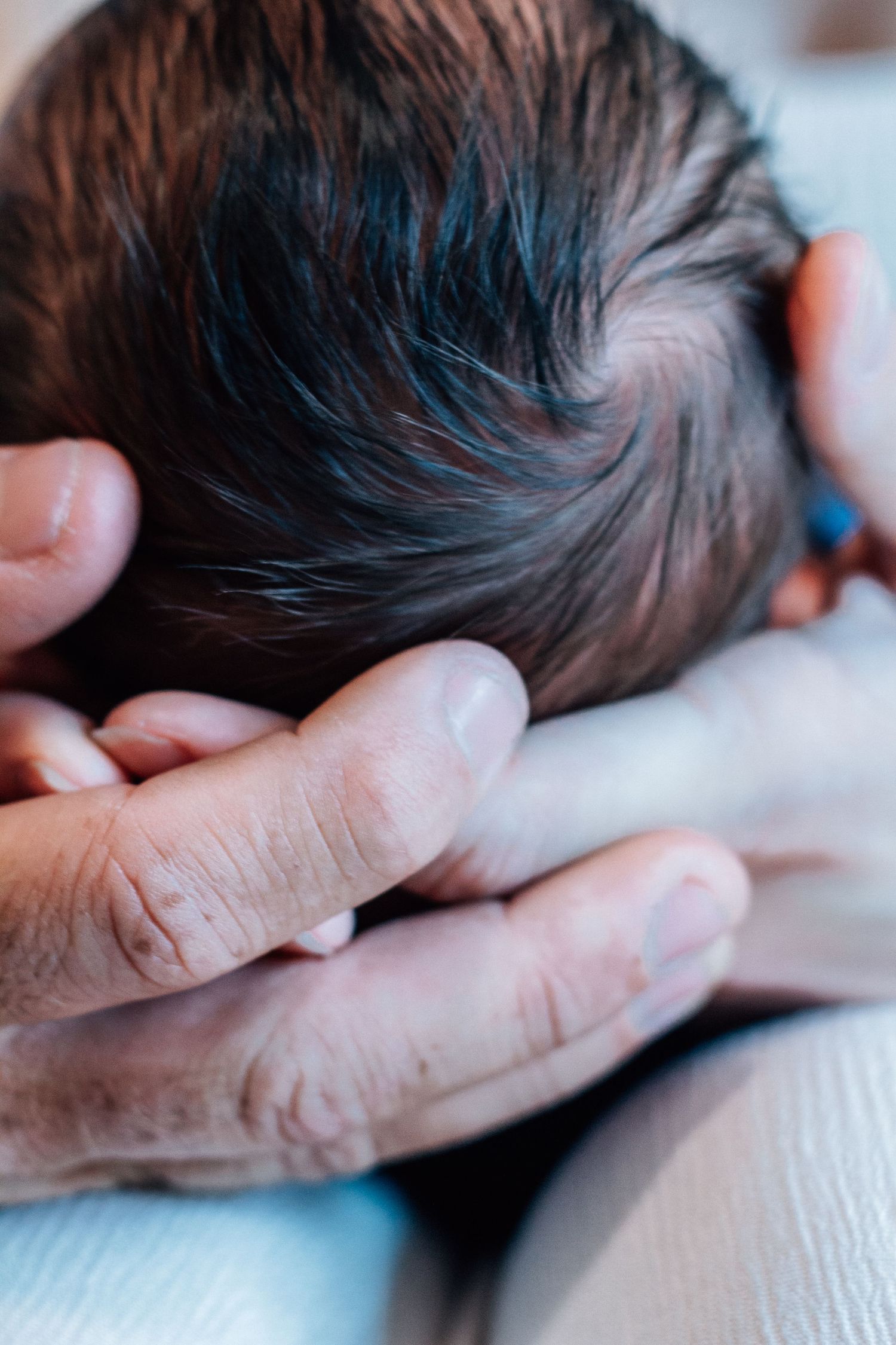 Close-up of adult hands gently cradling a newborn baby's head with dark hair.