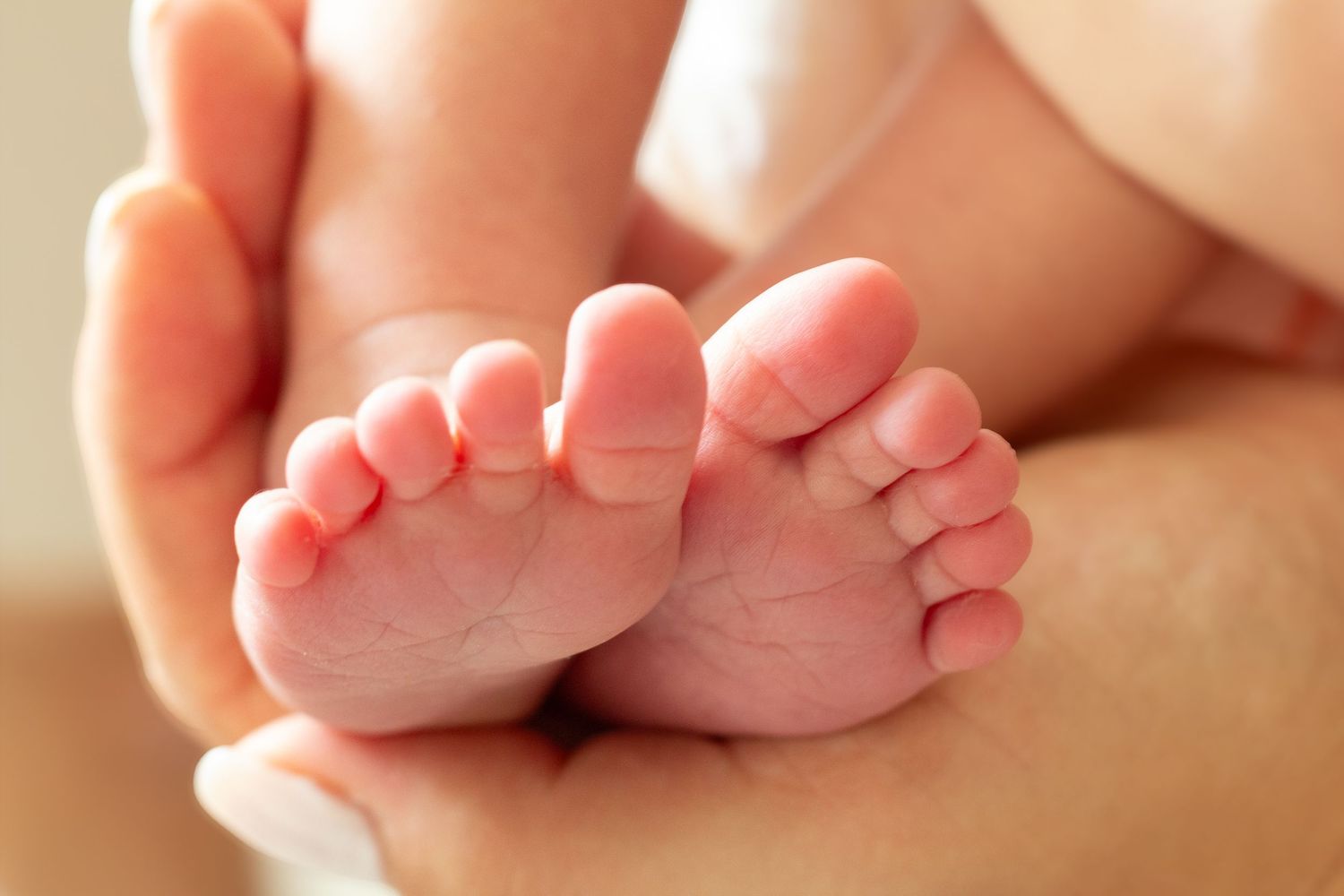 Close-up of a newborn baby's tiny feet cradled gently in an adult's hands.
