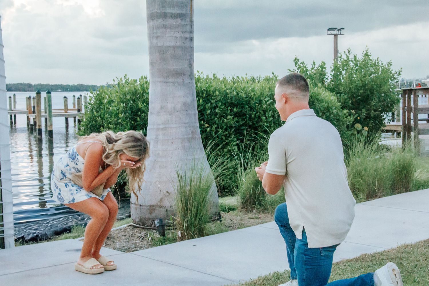 Man proposing on one knee to emotional woman by waterfront palm tree, romantic marriage proposal outdoors.