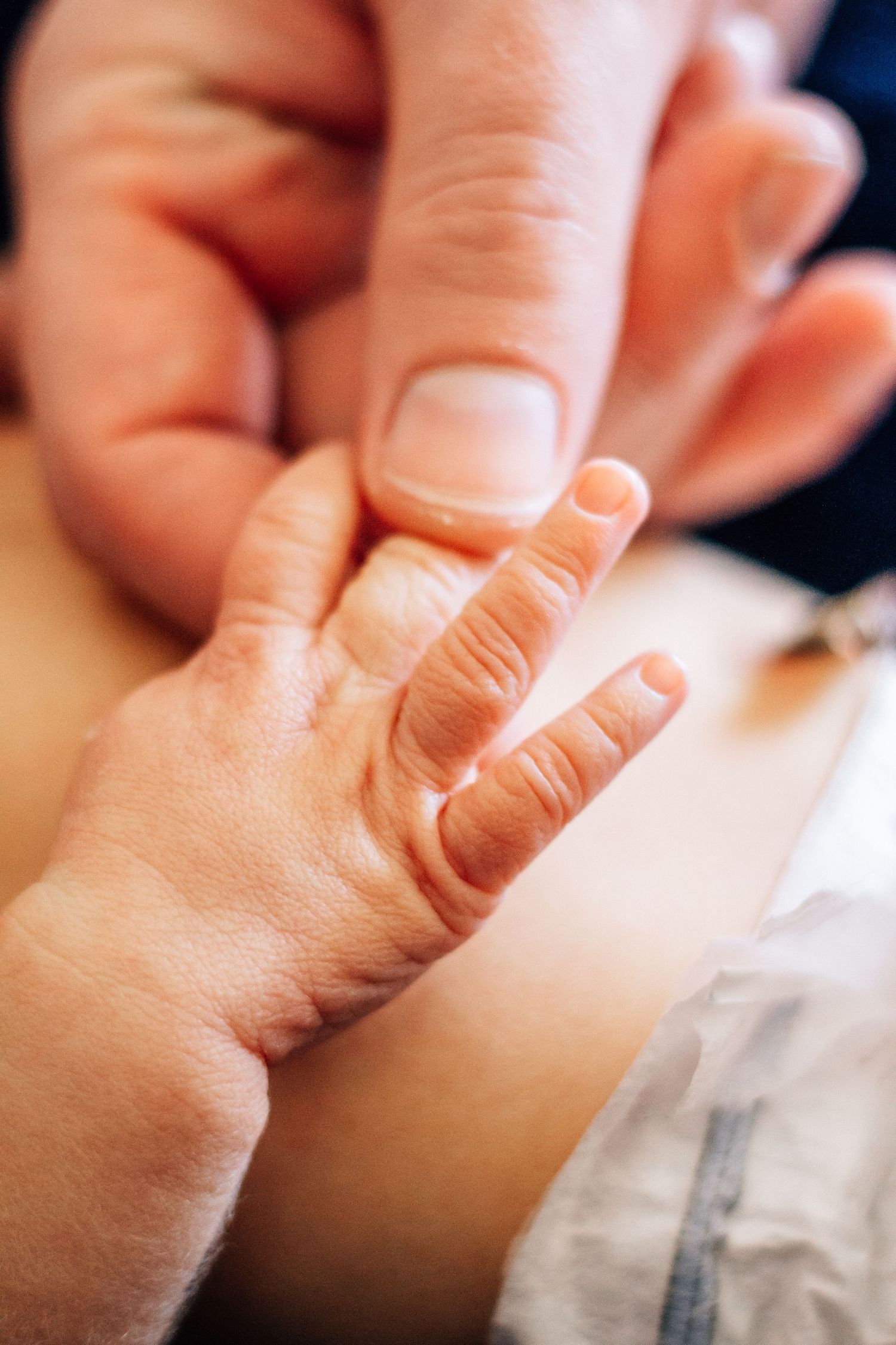 Close-up of a newborn baby's tiny hand gently grasped by an adult's fingers, symbolizing new life and parental love.