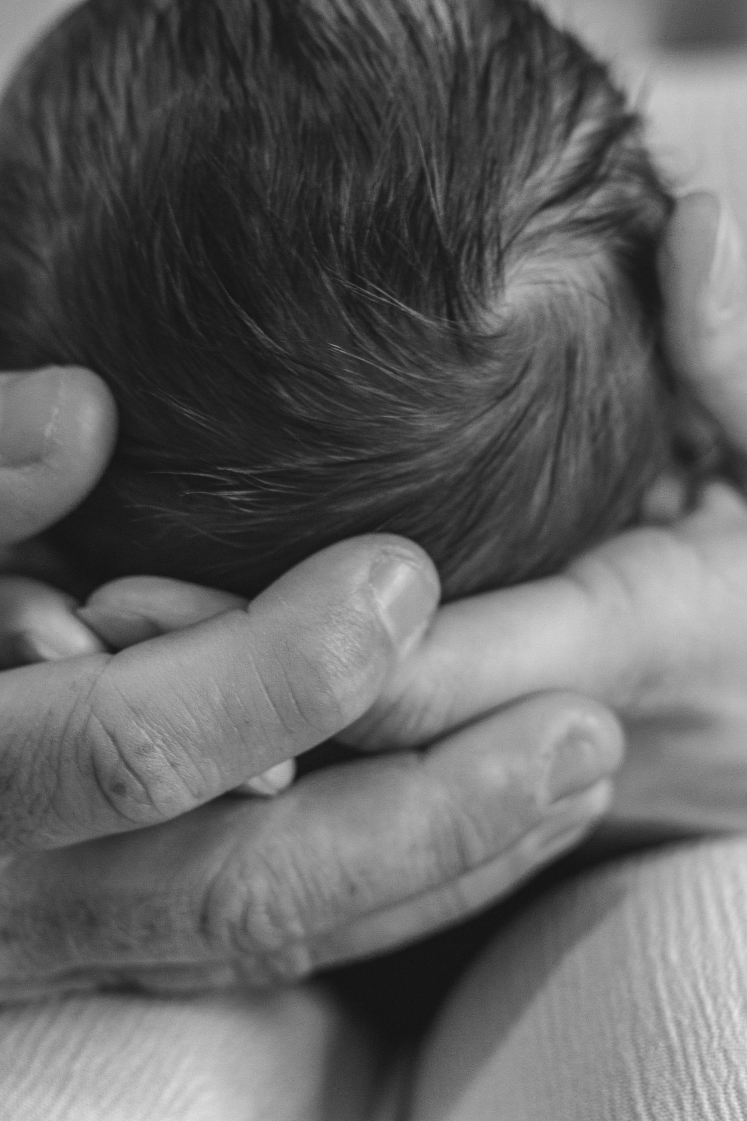 Black and white photo of a newborn baby's head cradled gently in an adult's hands.