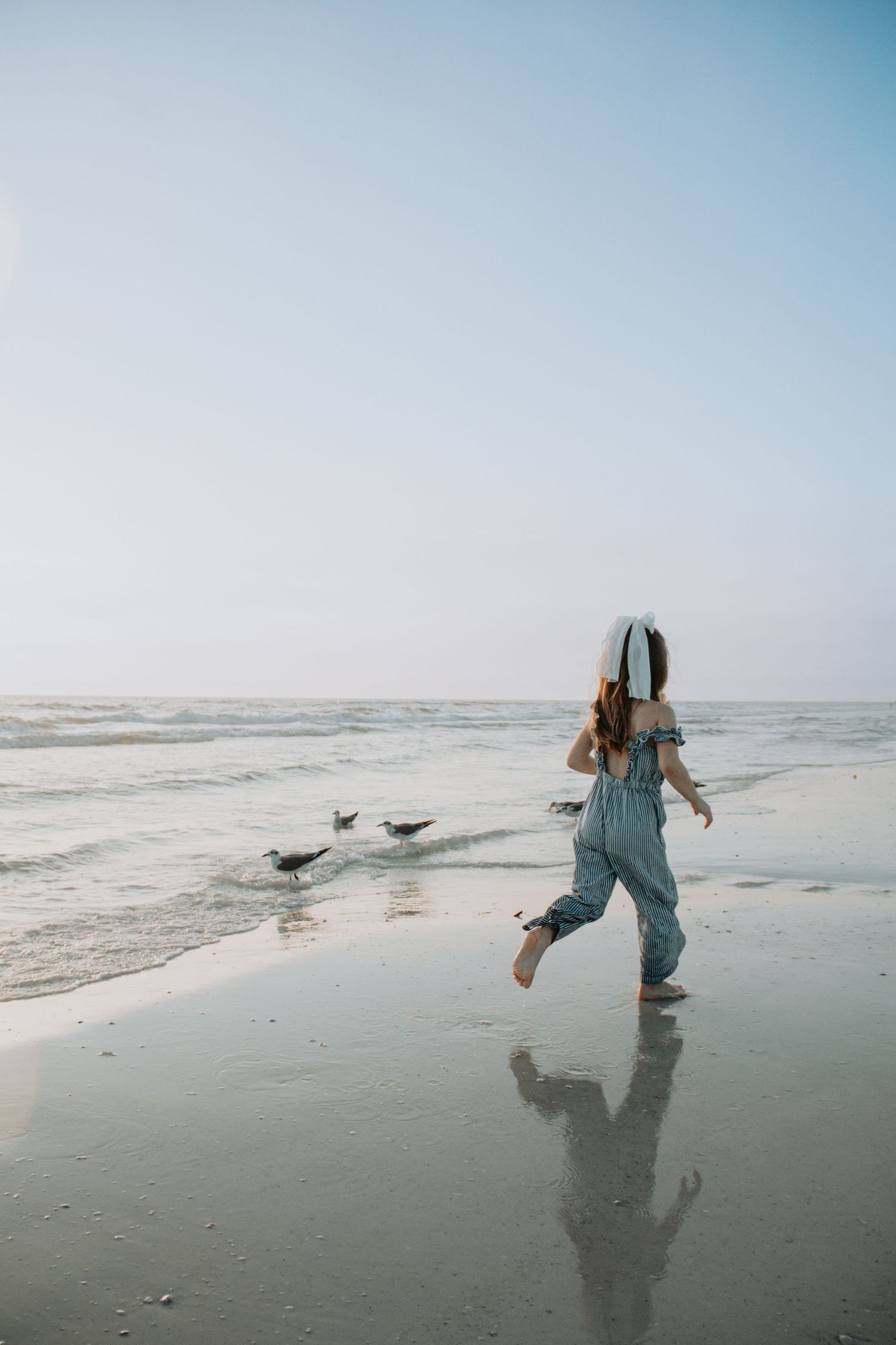 A sequence of photos showing someone chasing seagulls along a misty beach shoreline at sunset.