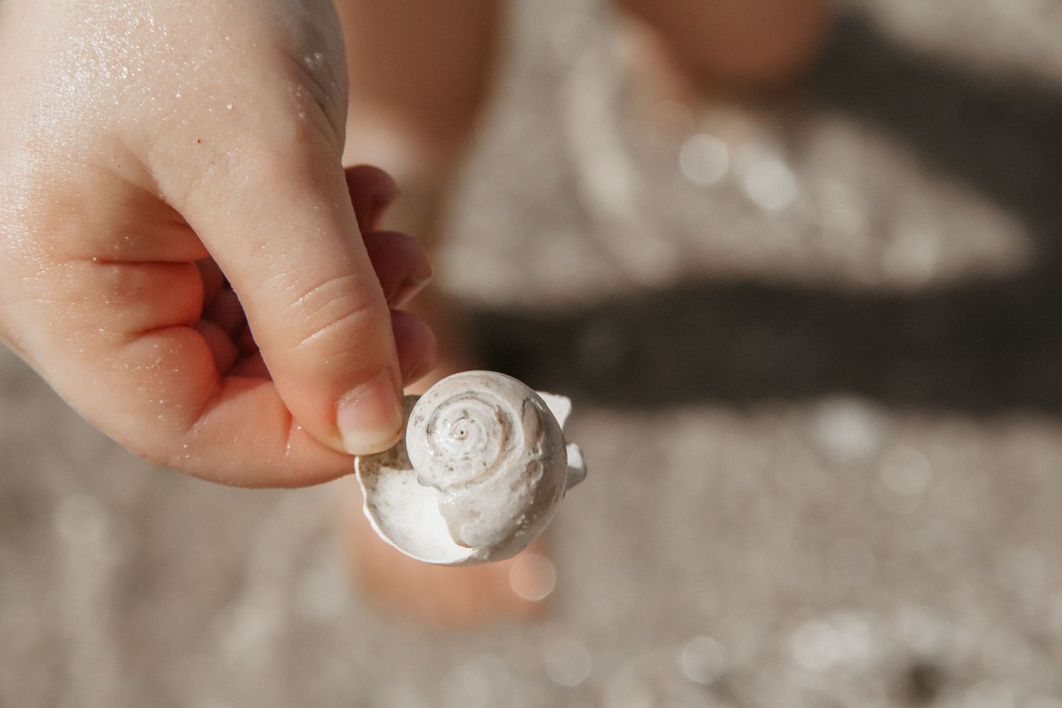 Small white ornamental pieces being held gently.