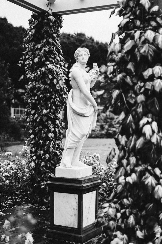 Vintage black and white photograph of garden statue surrounded by climbing vines and foliage.