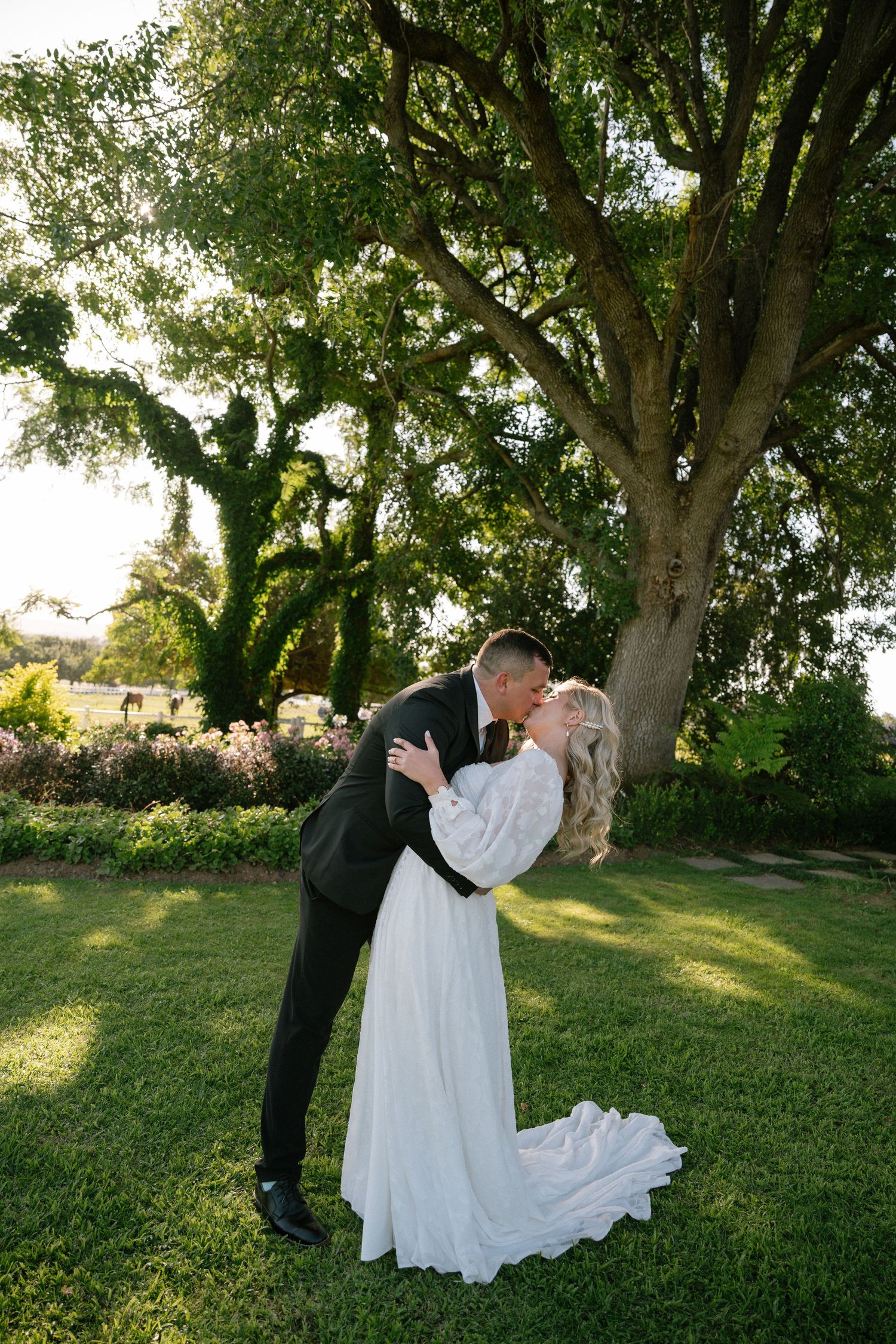 A romantic wedding moment captured under a large tree in a garden setting.