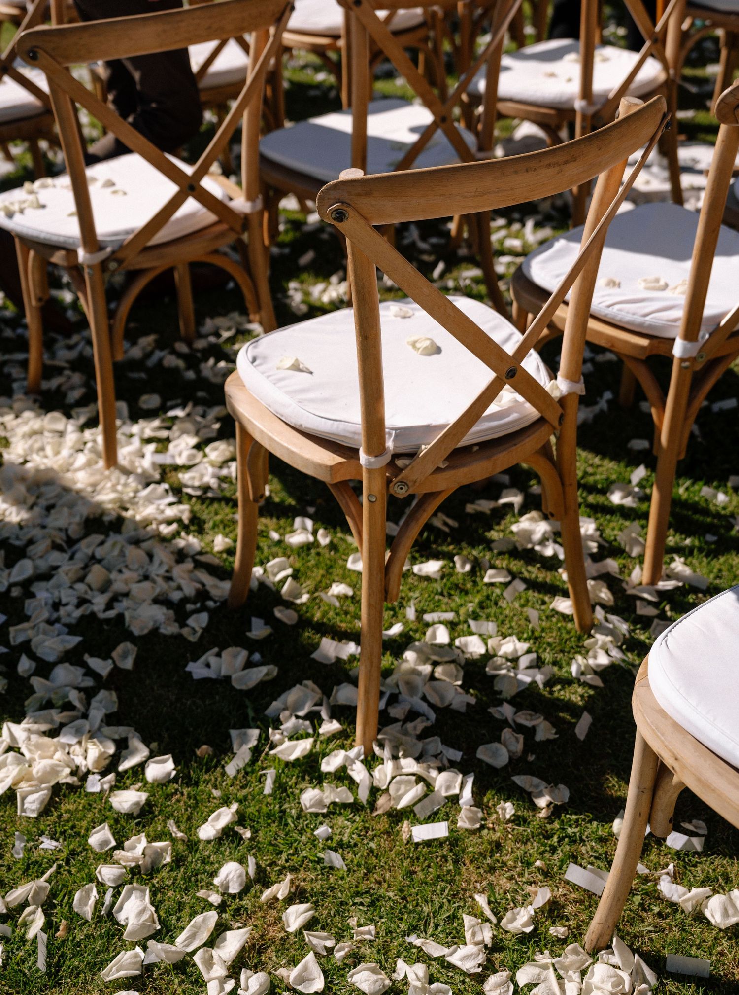 Wooden crossback chairs arranged on grass with scattered white rose petals for an outdoor wedding ceremony.