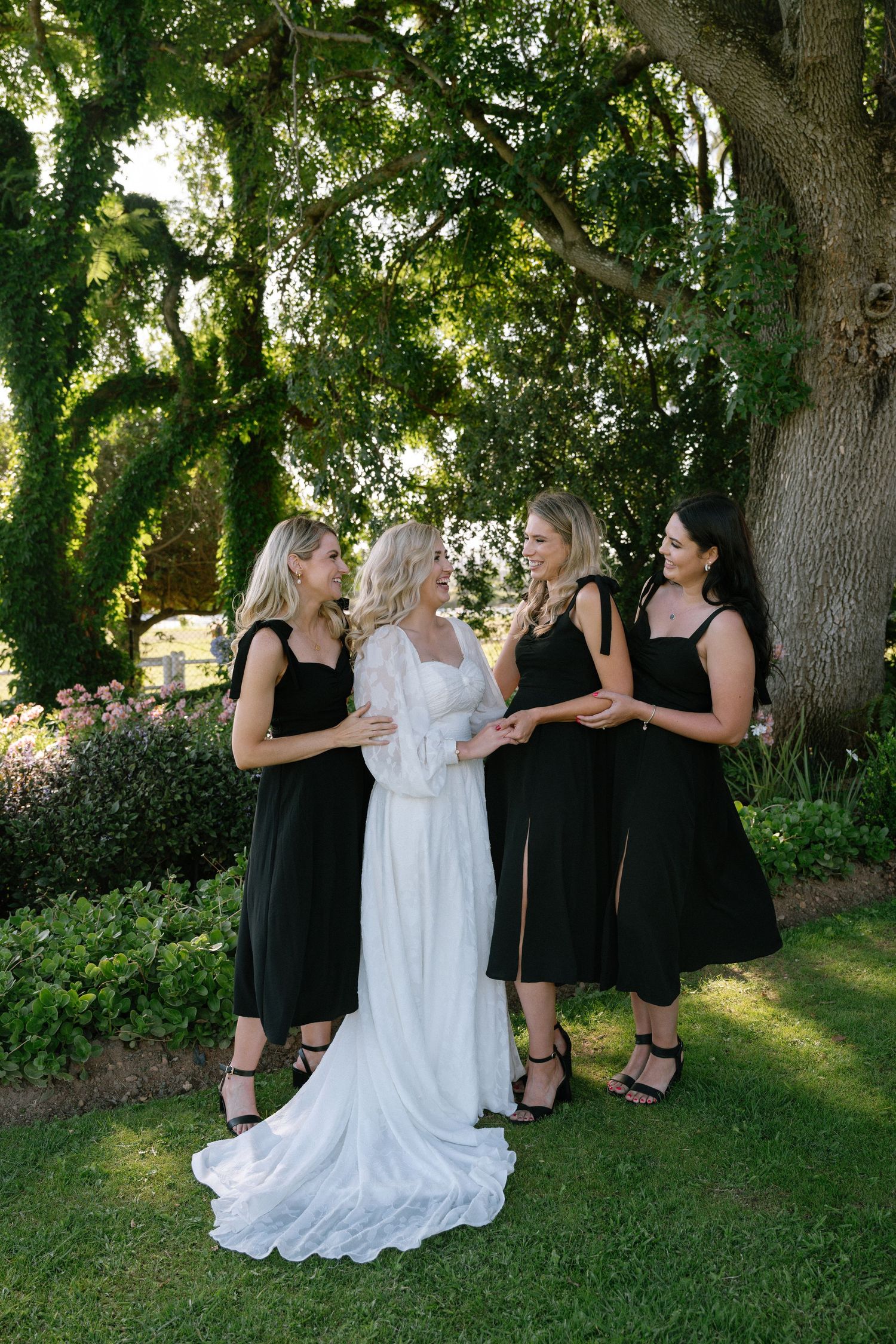 A bridal party in black dresses poses with the bride in white under a large tree.