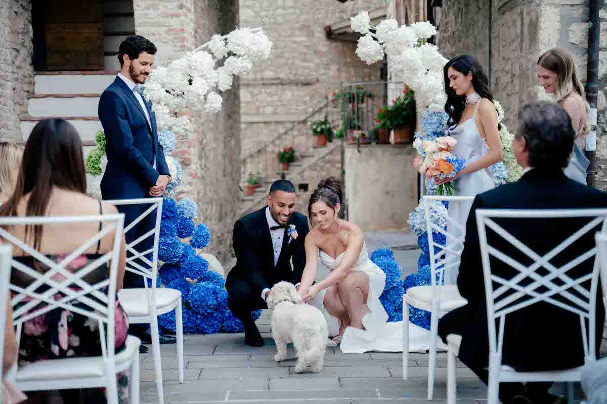 Wedding ceremony setup with white chairs, blue decorations, and a small white dog in attendance.