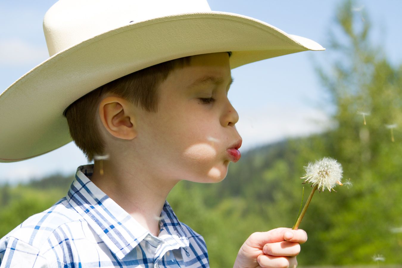 A child in a cowboy hat blows on a dandelion seed head in a sunny meadow.