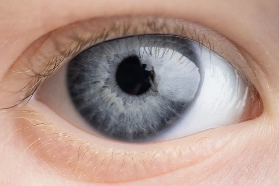 Extreme close-up of a light blue-gray human eye showing intricate iris detail.