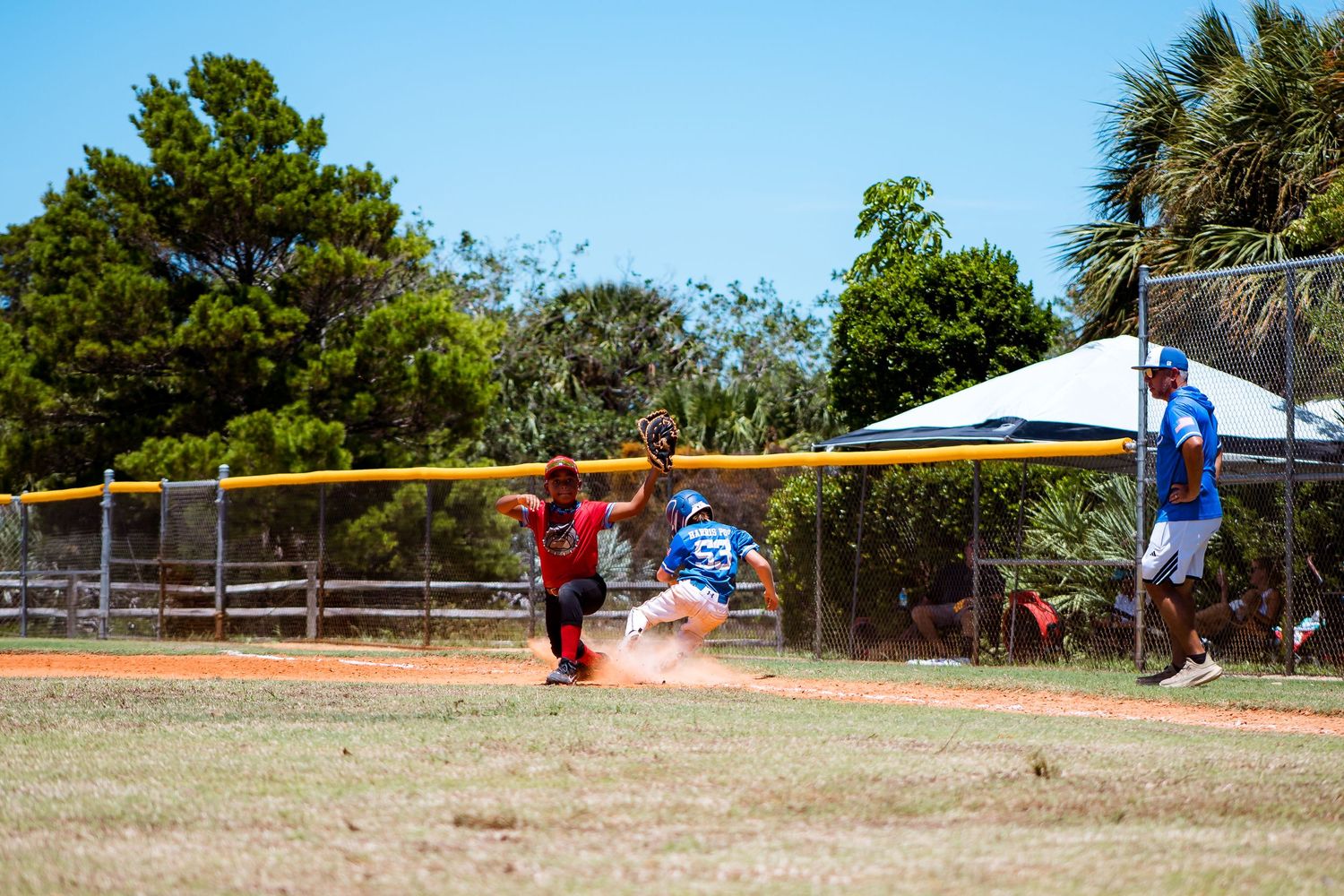 Action shot of a baseball play at home plate during a youth league game on a sunny field.