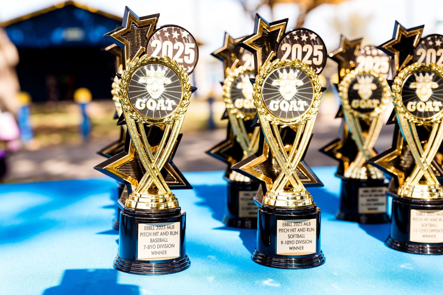 Row of golden star-shaped trophies with 2023 engravings displayed on a blue surface at an awards ceremony.