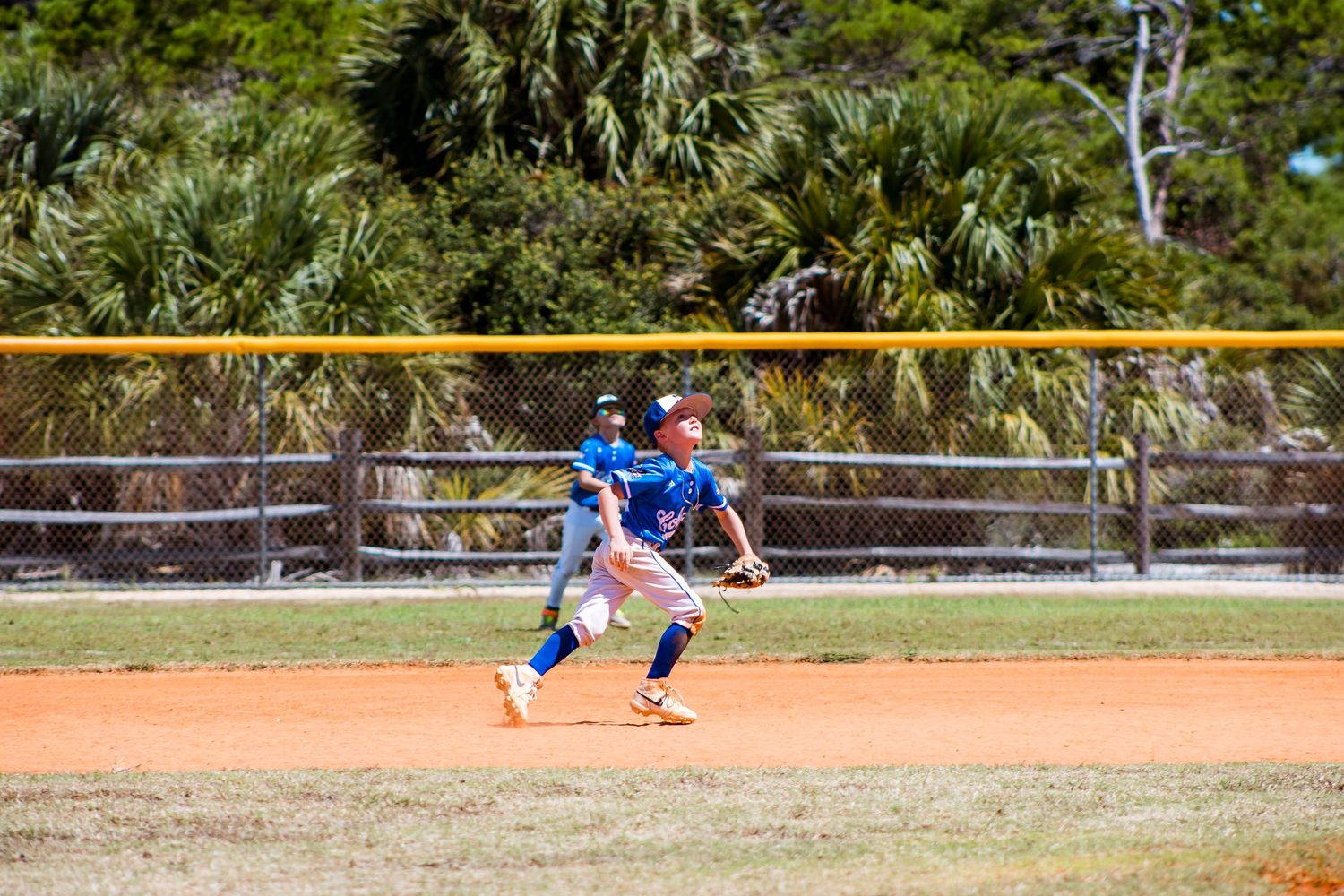 Long panoramic shot of a baseball game in progress on a field surrounded by lush tropical vegetation.