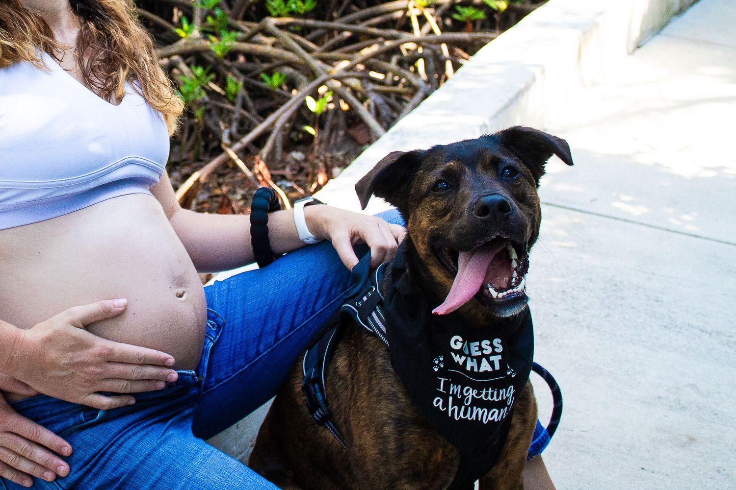 Pregnant woman sitting with happy dog wearing bandana outdoors.