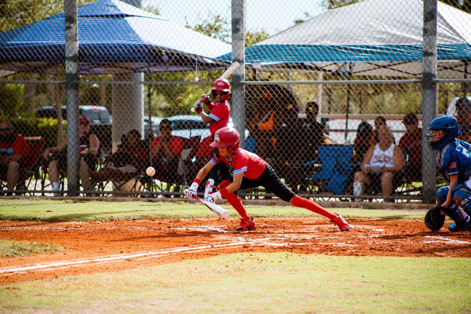 Baseball players in red and blue uniforms compete during a game on a dusty orange clay field.