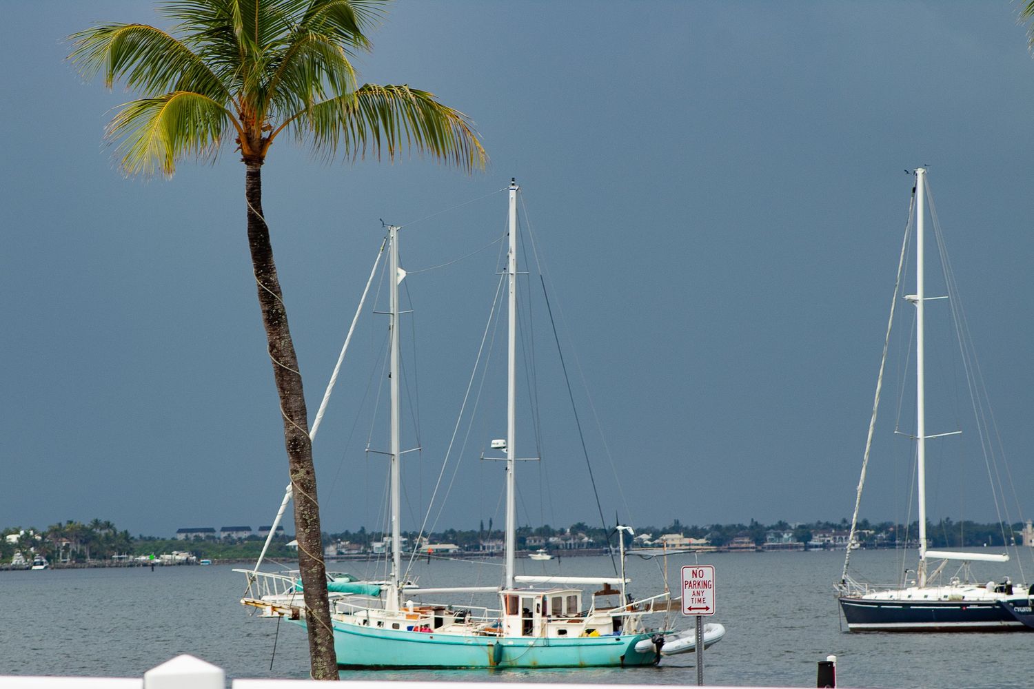 Sailboats anchored in tropical waters with a palm tree leaning over the harbor against a cloudy blue sky.