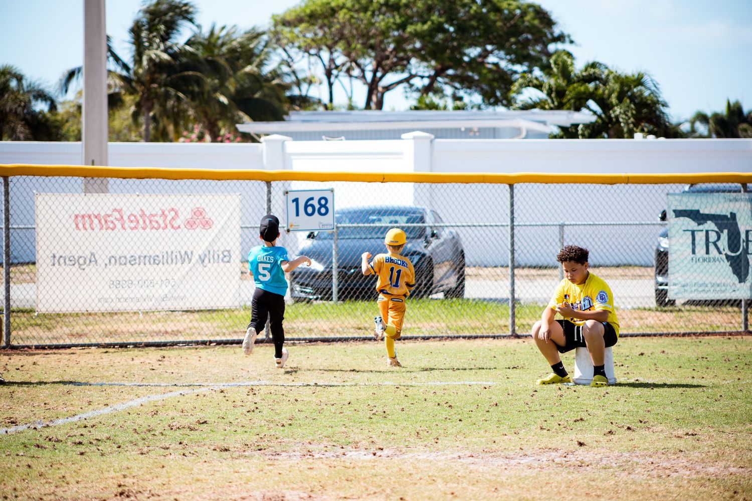 Kids practicing baseball on a grassy field with palm trees swaying in the wind under clear skies.