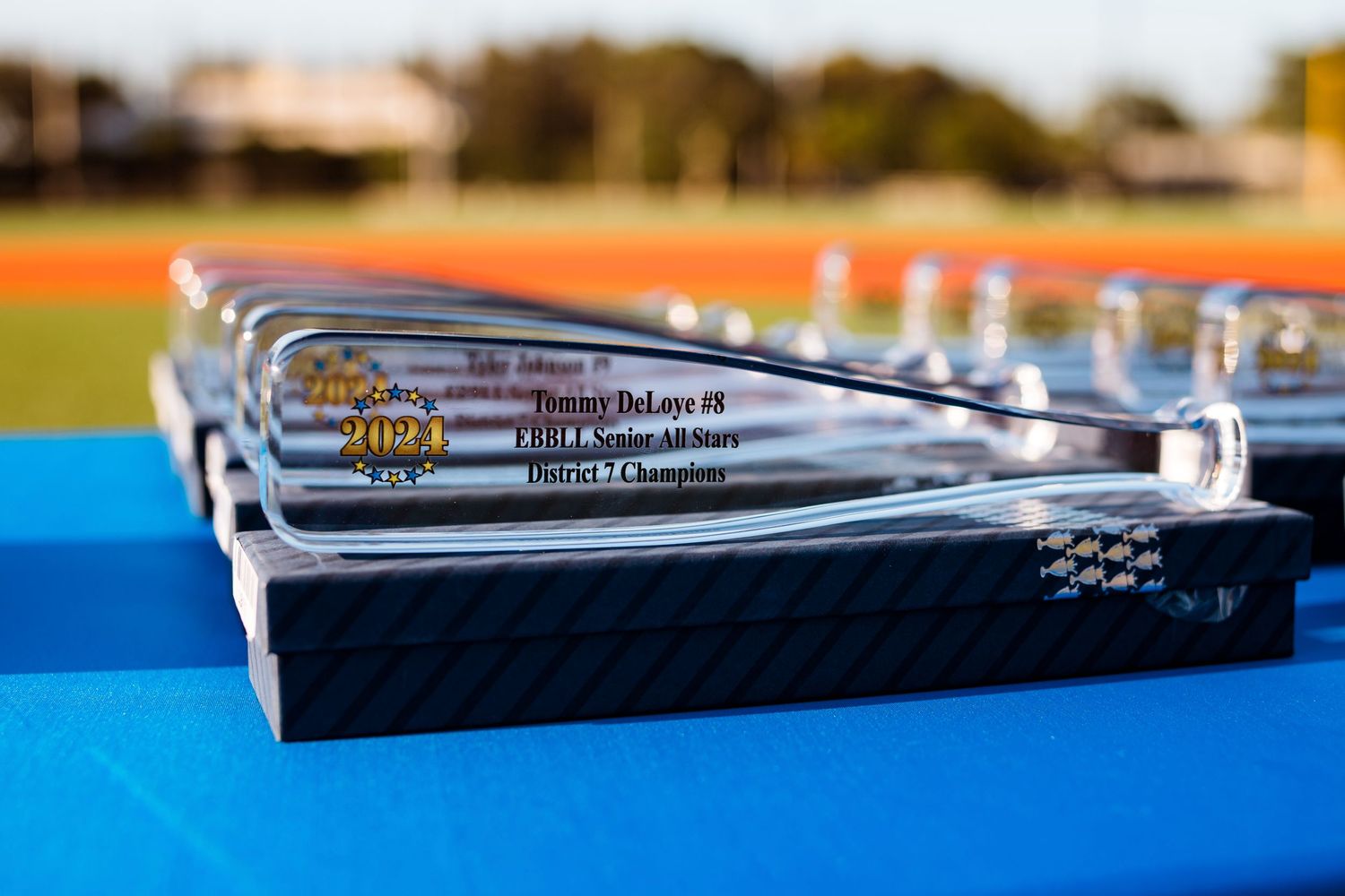 Row of identical crystal awards lined up on blue display table at ceremony.