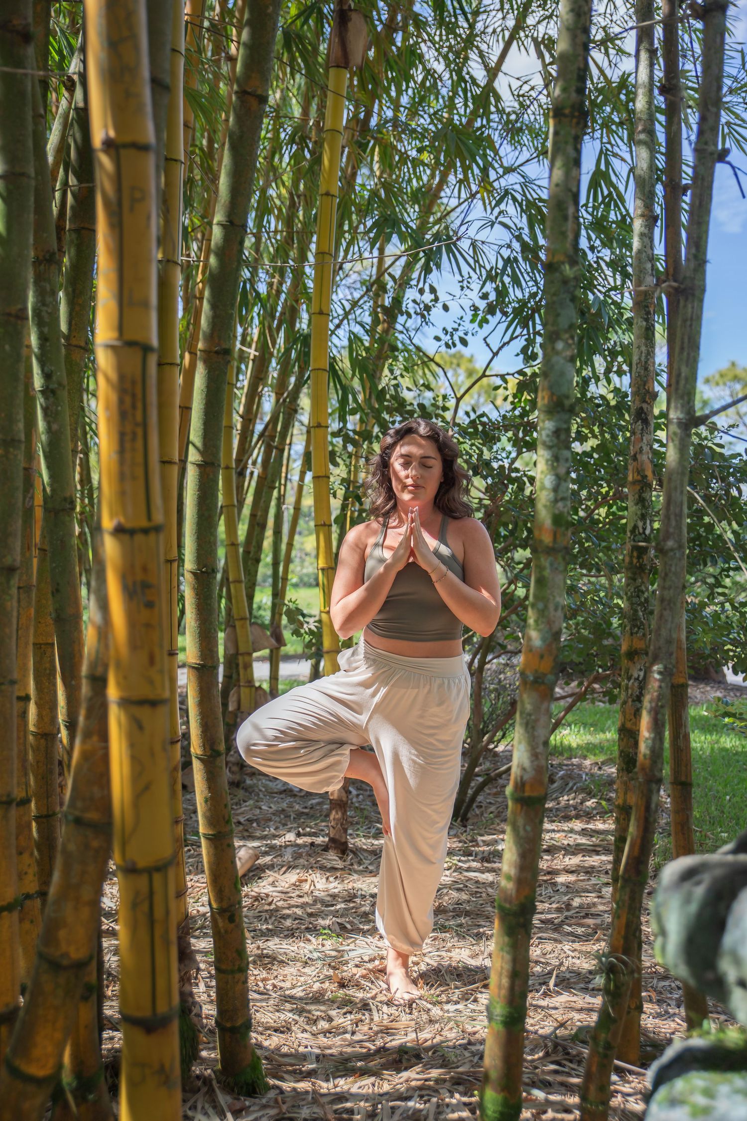 A person practices yoga in a tranquil bamboo forest with sunlight filtering through the tall stalks.