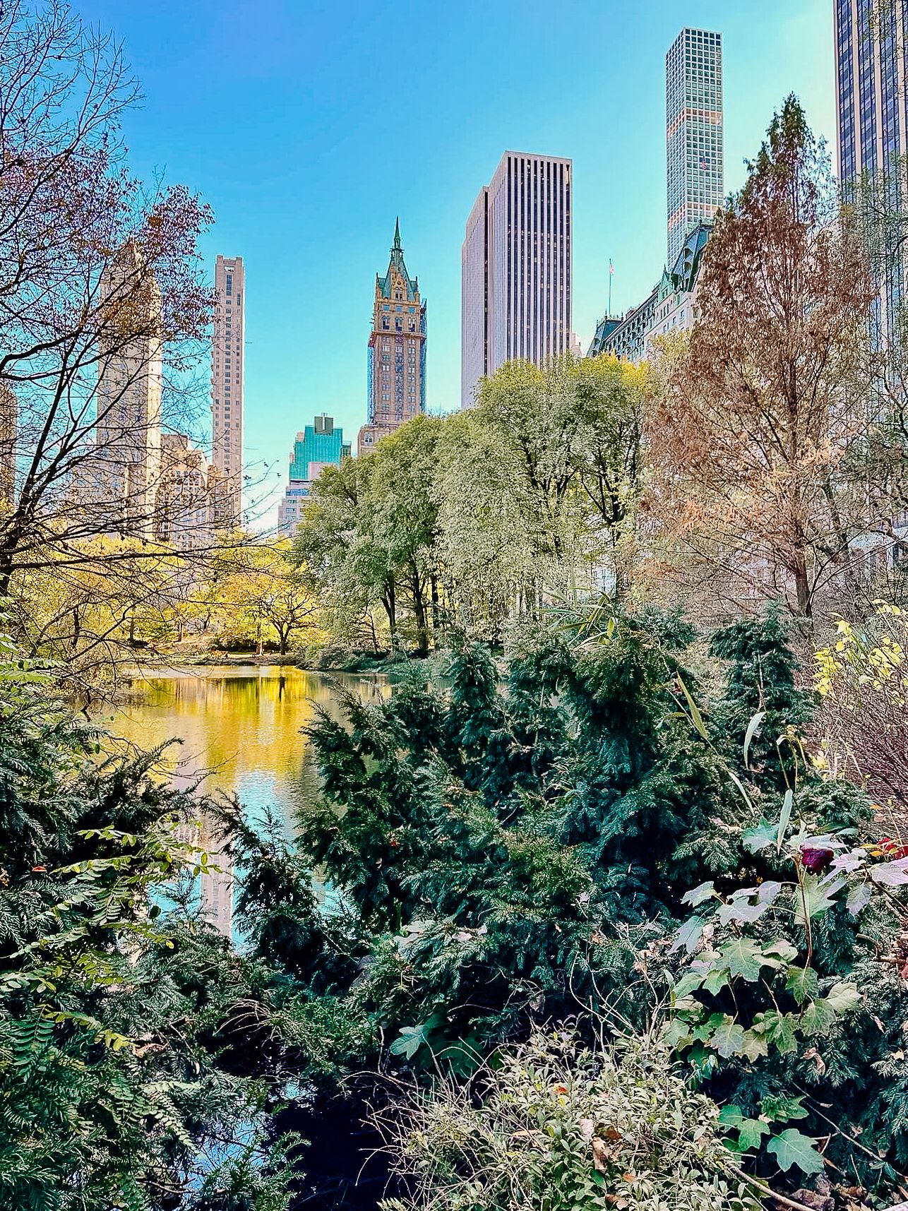 Scenic view of Central Park pond with autumn trees and Manhattan skyscrapers towering in the background.
