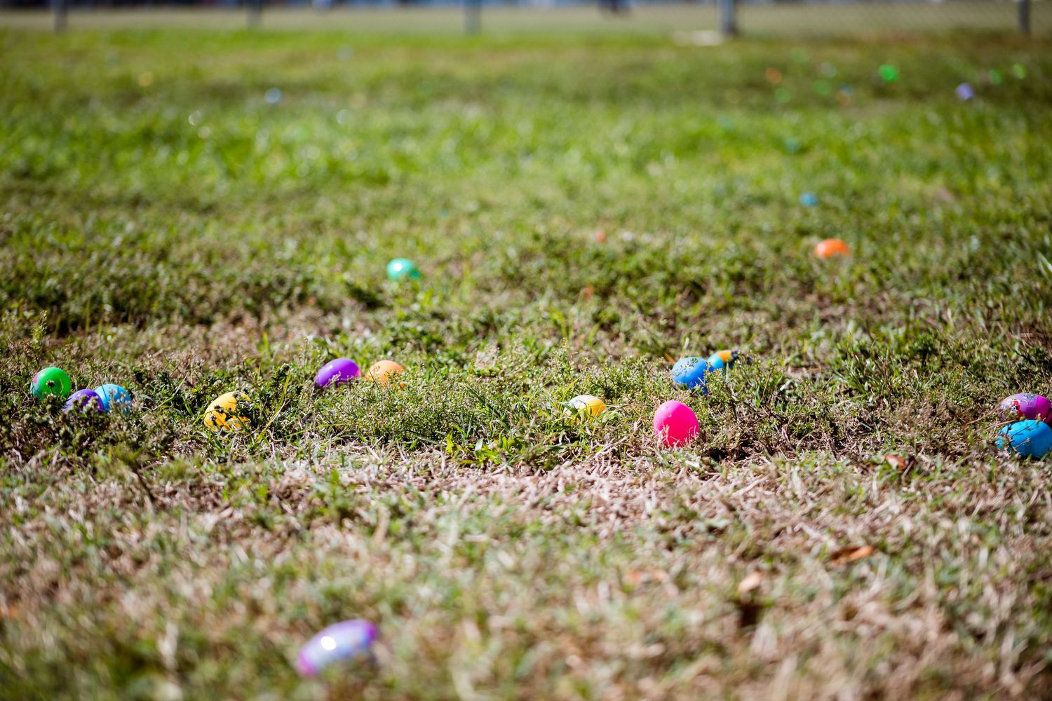 Colorful plastic Easter eggs scattered on brown grass during a springtime egg hunt.